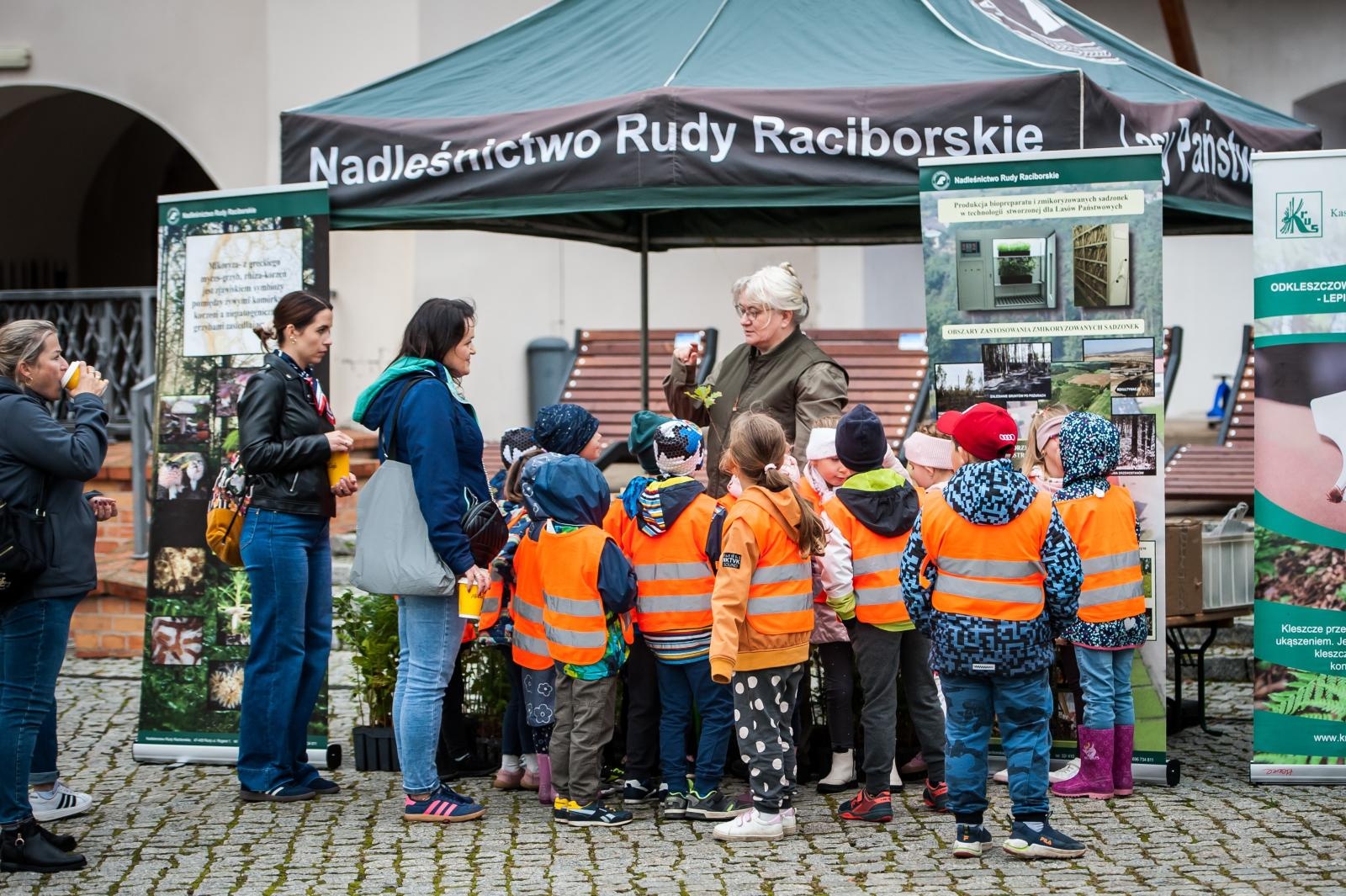 Zdjęcie w galerii na portalu naszraciborz.pl: Bezpieczne Grzybobranie 2025 za nami [FOTO] wiadomości z regionu