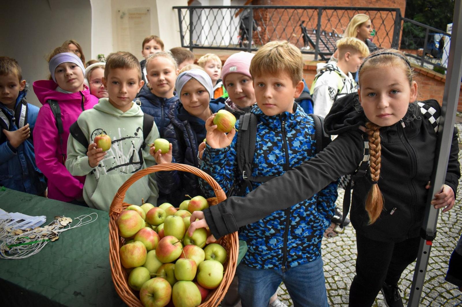 Zdjęcie w galerii na portalu naszraciborz.pl: Bezpieczne Grzybobranie 2025 za nami [FOTO] wiadomości z regionu