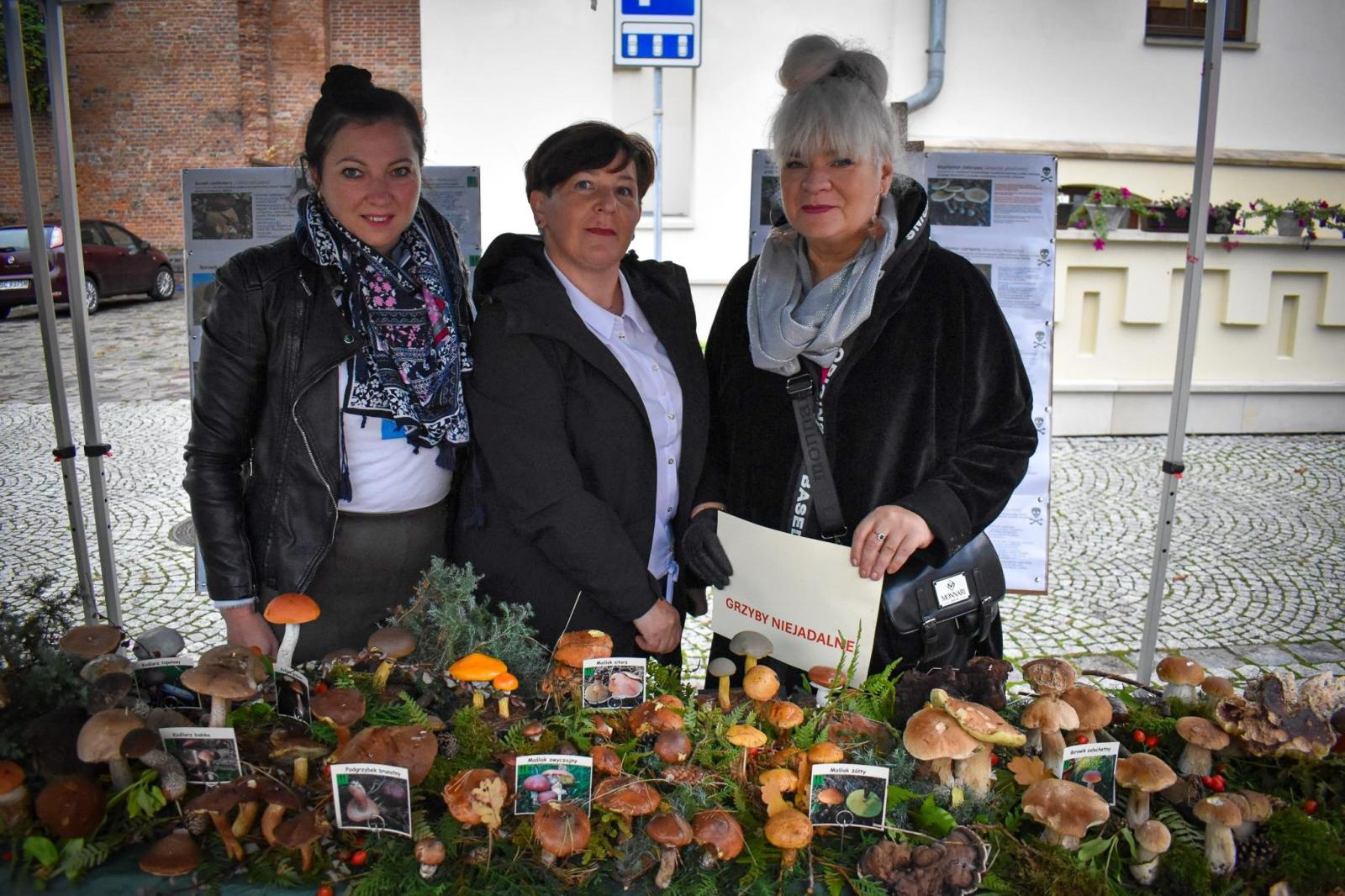 Zdjęcie w galerii na portalu naszraciborz.pl: Bezpieczne Grzybobranie 2025 za nami [FOTO] wiadomości z regionu