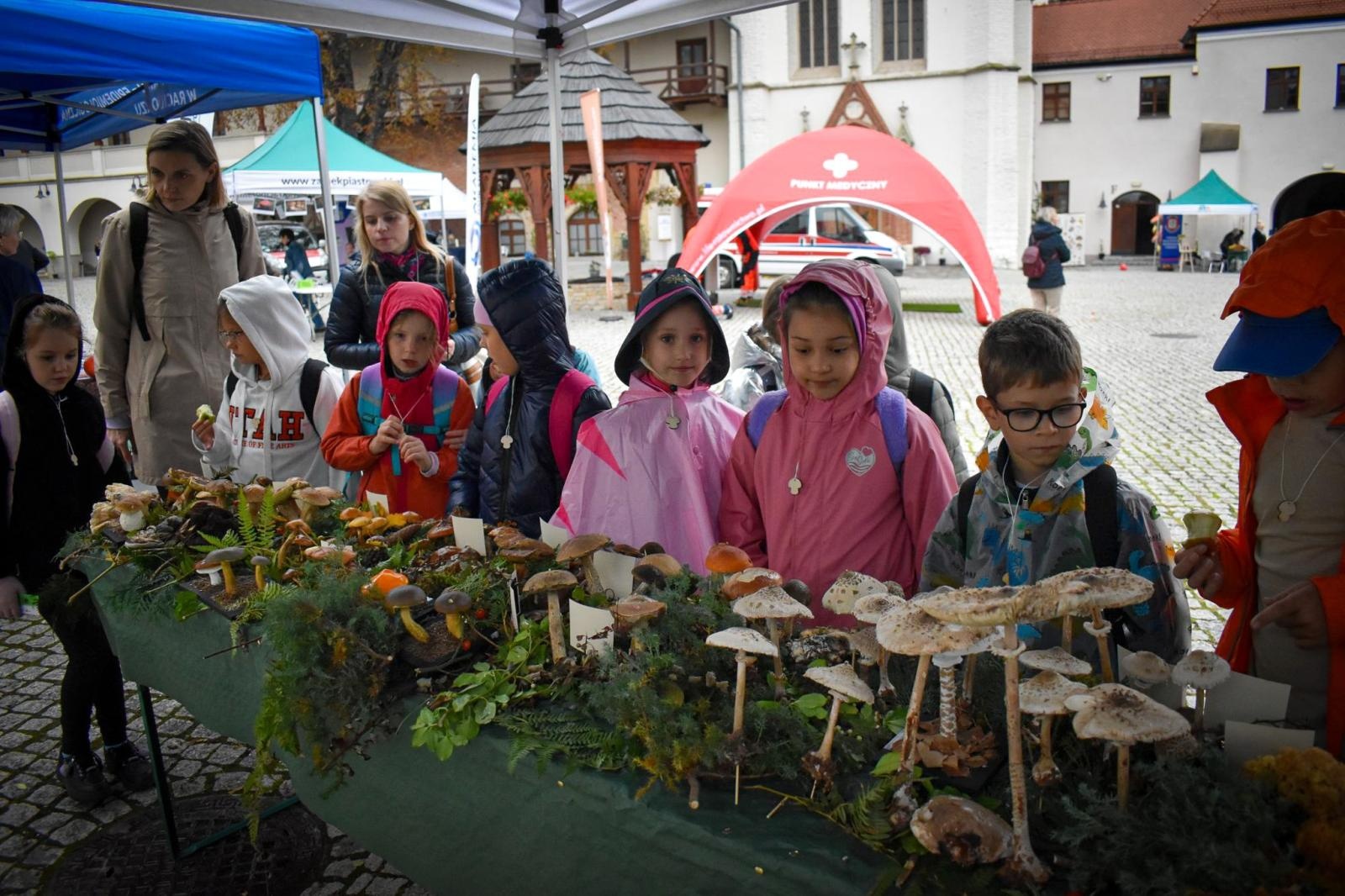 Zdjęcie w galerii na portalu naszraciborz.pl: Bezpieczne Grzybobranie 2025 za nami [FOTO] wiadomości z regionu