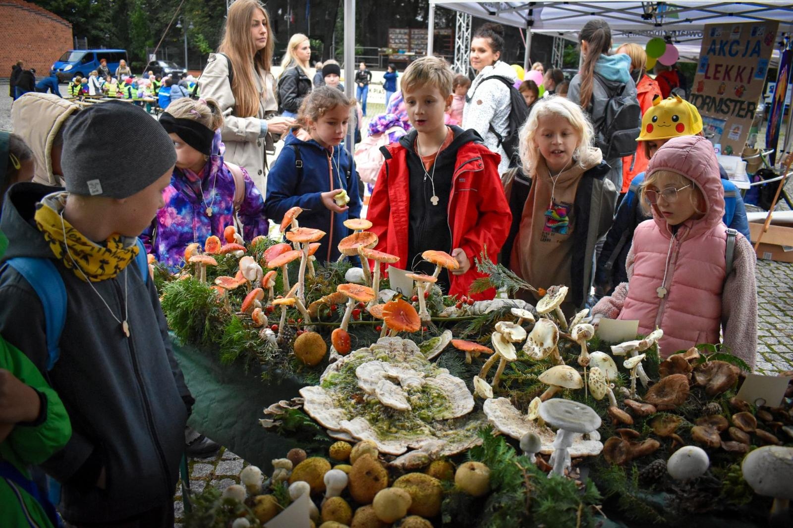 Zdjęcie w galerii na portalu naszraciborz.pl: Bezpieczne Grzybobranie 2025 za nami [FOTO] wiadomości z regionu