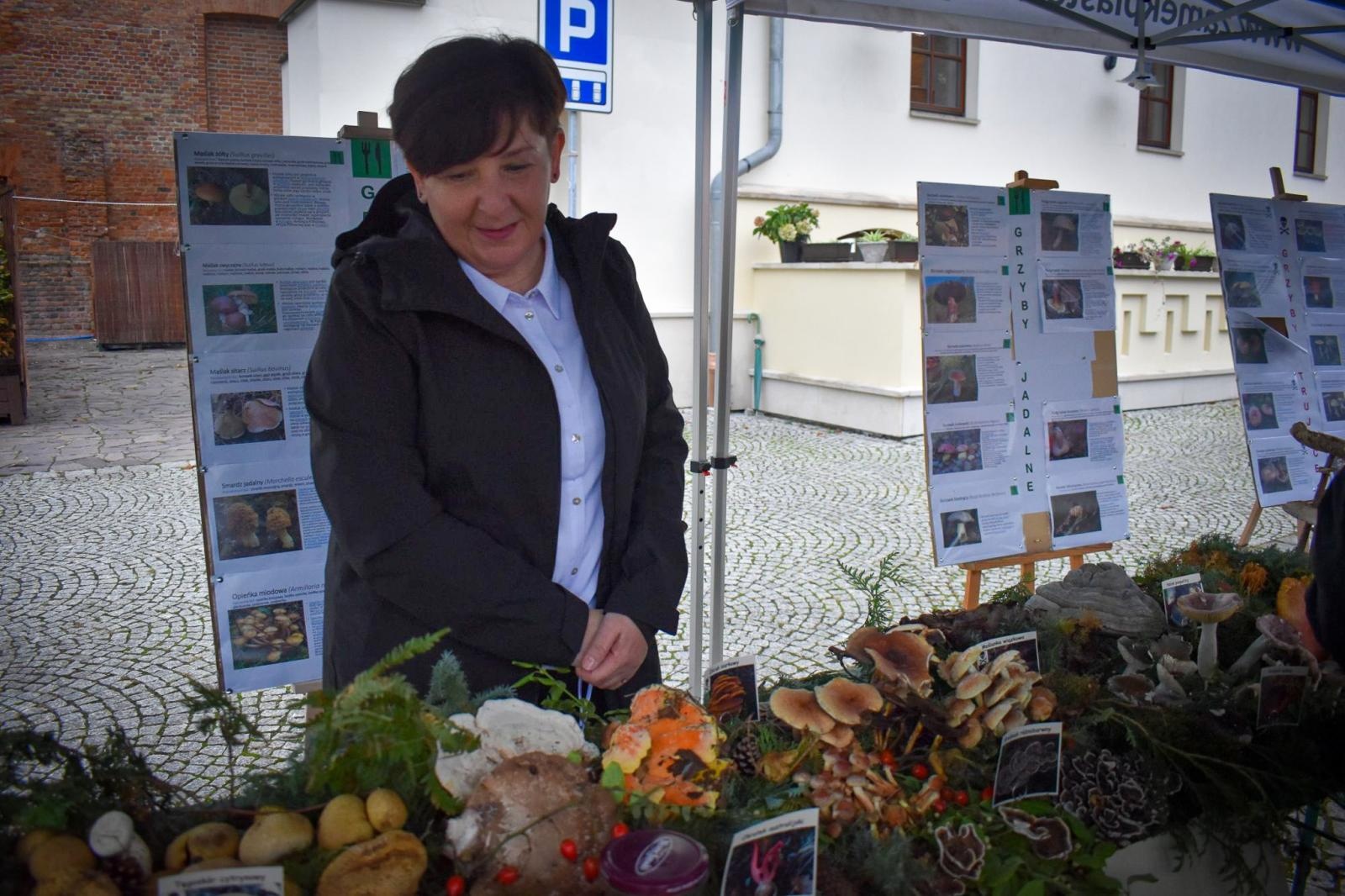 Zdjęcie w galerii na portalu naszraciborz.pl: Bezpieczne Grzybobranie 2025 za nami [FOTO] wiadomości z regionu