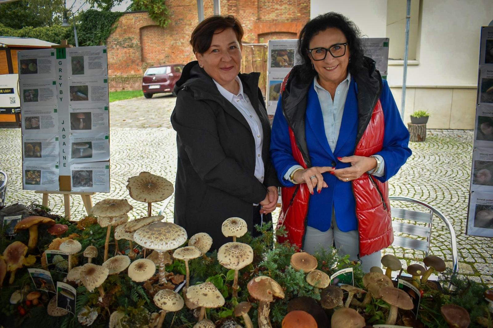 Zdjęcie w galerii na portalu naszraciborz.pl: Bezpieczne Grzybobranie 2025 za nami [FOTO] wiadomości z regionu