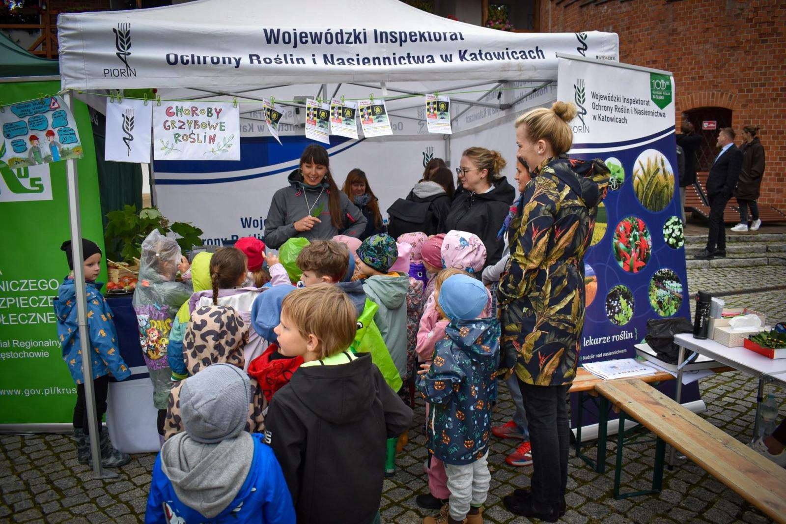 Zdjęcie w galerii na portalu naszraciborz.pl: Bezpieczne Grzybobranie 2025 za nami [FOTO] wiadomości z regionu