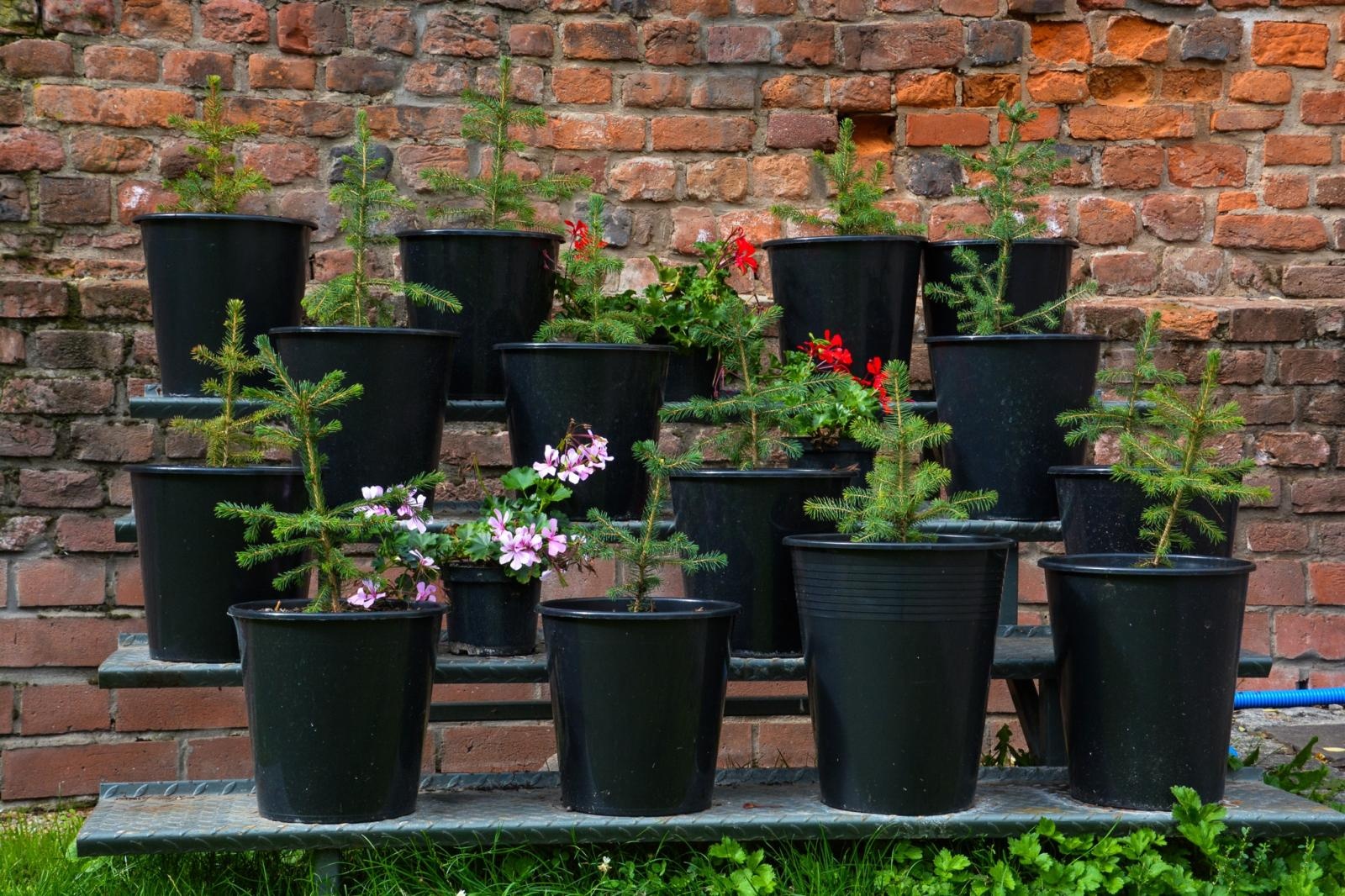 Zdjęcie w galerii na portalu naszraciborz.pl: Dziedziniec Zamku Piastowskiego będzie częściowo zadaszony. W drodze kolejne projekty i otwarcie restauracji wiadomości z regionu