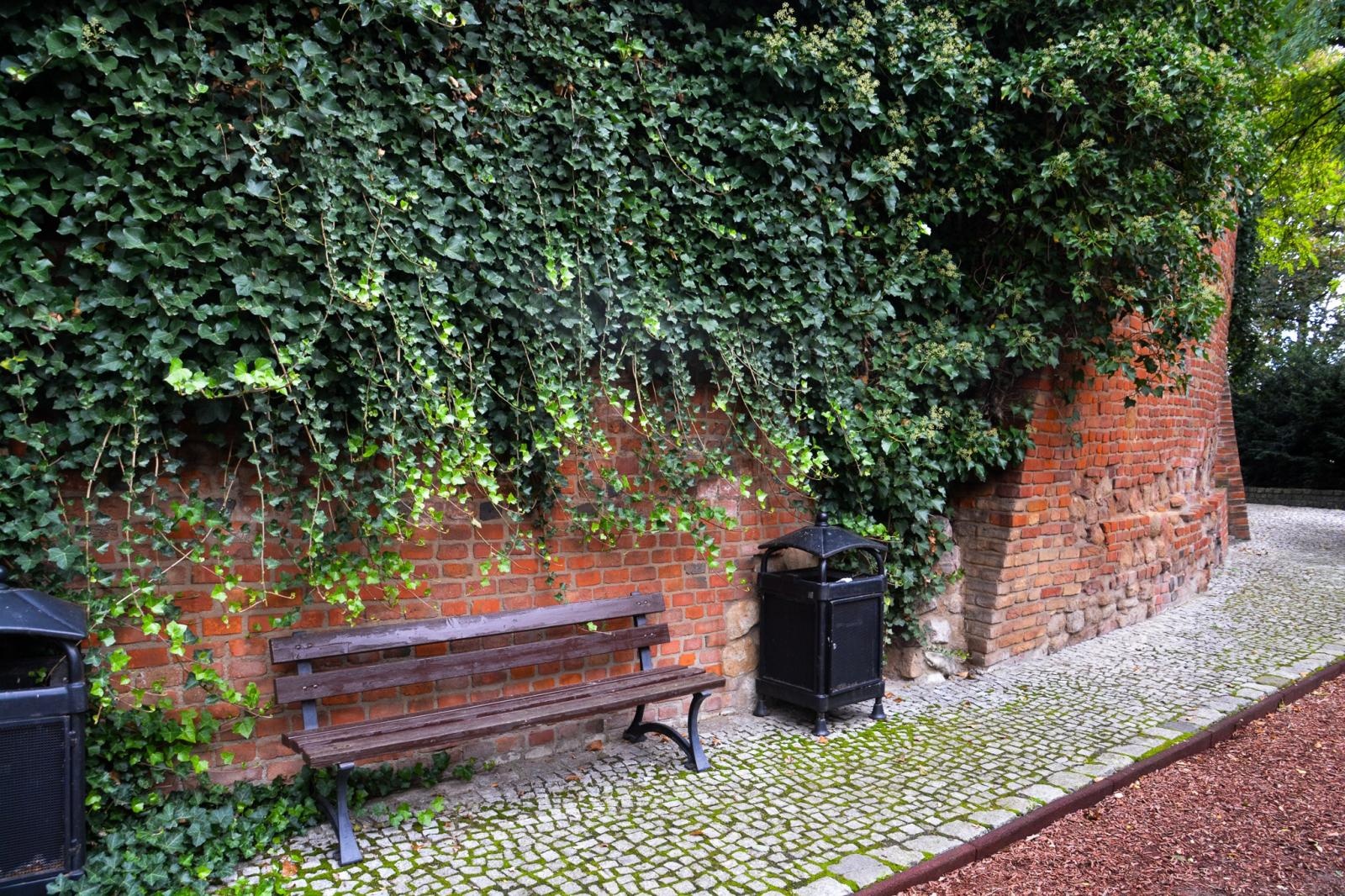 Zdjęcie w galerii na portalu naszraciborz.pl: Dziedziniec Zamku Piastowskiego będzie częściowo zadaszony. W drodze kolejne projekty i otwarcie restauracji wiadomości z regionu