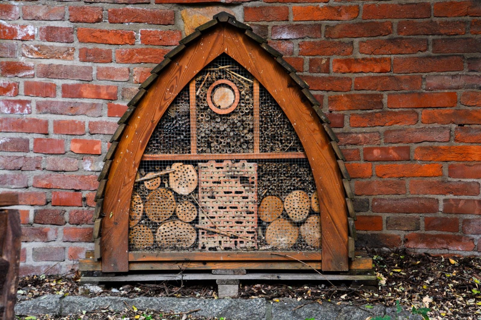 Zdjęcie w galerii na portalu naszraciborz.pl: Dziedziniec Zamku Piastowskiego będzie częściowo zadaszony. W drodze kolejne projekty i otwarcie restauracji wiadomości z regionu