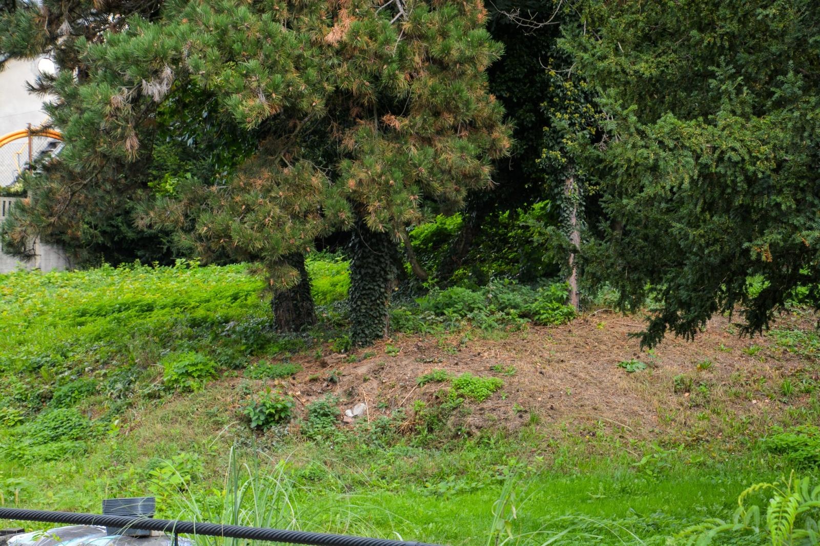 Zdjęcie w galerii na portalu naszraciborz.pl: Dziedziniec Zamku Piastowskiego będzie częściowo zadaszony. W drodze kolejne projekty i otwarcie restauracji wiadomości z regionu