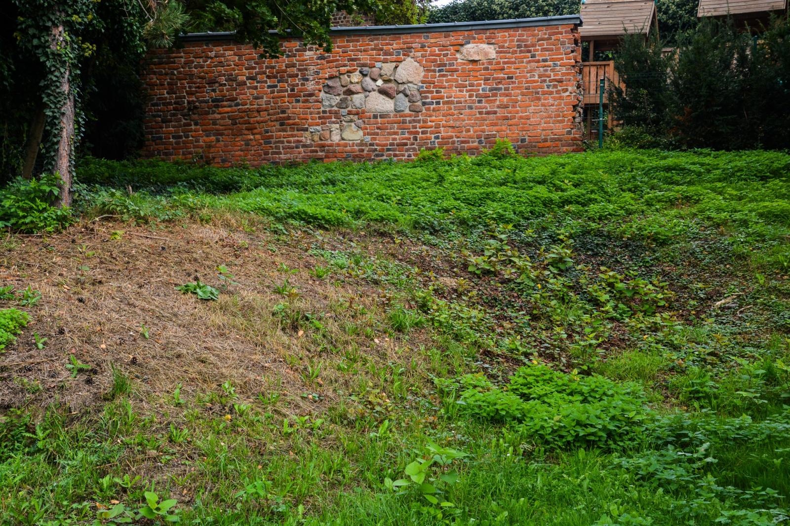 Zdjęcie w galerii na portalu naszraciborz.pl: Dziedziniec Zamku Piastowskiego będzie częściowo zadaszony. W drodze kolejne projekty i otwarcie restauracji wiadomości z regionu