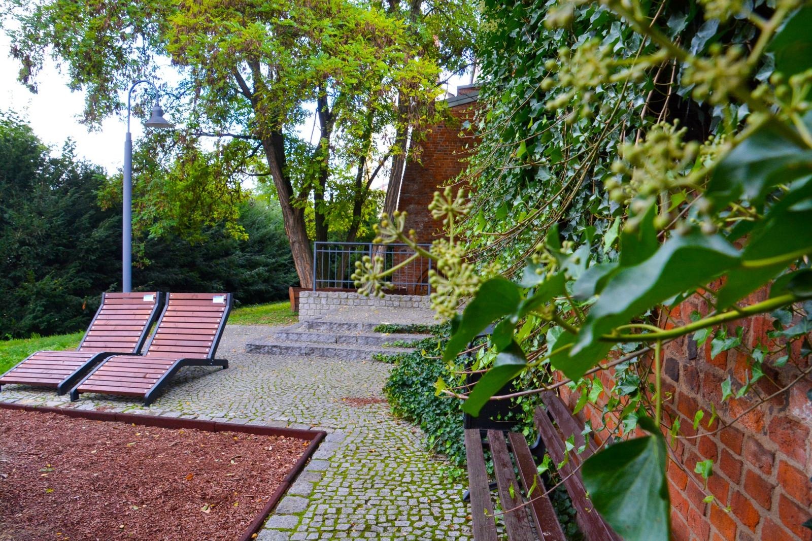 Zdjęcie w galerii na portalu naszraciborz.pl: Dziedziniec Zamku Piastowskiego będzie częściowo zadaszony. W drodze kolejne projekty i otwarcie restauracji wiadomości z regionu