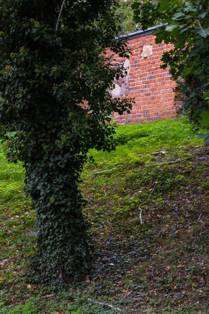 Zdjęcie w galerii na portalu naszraciborz.pl: Dziedziniec Zamku Piastowskiego będzie częściowo zadaszony. W drodze kolejne projekty i otwarcie restauracji wiadomości z regionu