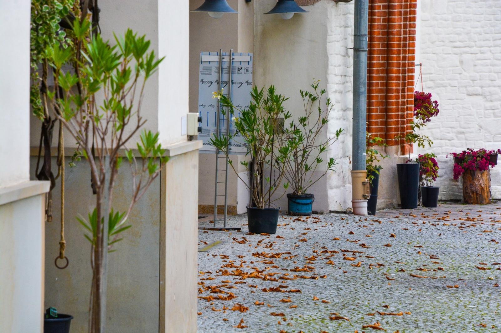 Zdjęcie w galerii na portalu naszraciborz.pl: Dziedziniec Zamku Piastowskiego będzie częściowo zadaszony. W drodze kolejne projekty i otwarcie restauracji wiadomości z regionu