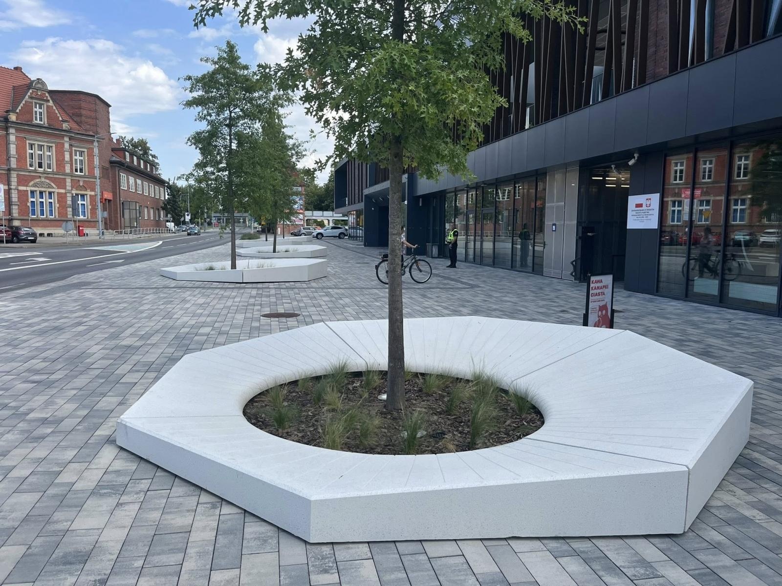 Zdjęcie w galerii na portalu naszraciborz.pl: Donice i drzewa przed dworcem PKP w Raciborzu. Radny pokazuje jak miało być i pyta o koszty wiadomości z regionu