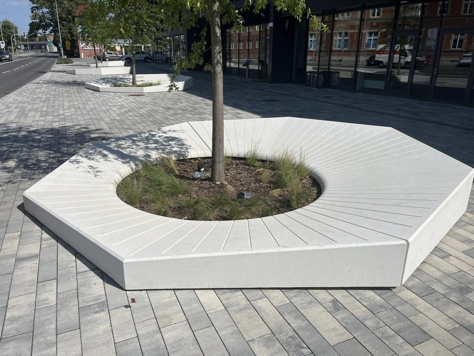 Zdjęcie w galerii na portalu naszraciborz.pl: Donice i drzewa przed dworcem PKP w Raciborzu. Radny pokazuje jak miało być i pyta o koszty wiadomości z regionu