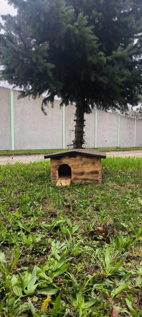 Zdjęcie w galerii na portalu naszraciborz.pl: Zadbaj o jeża, przygotuj go na zimę wiadomości z regionu