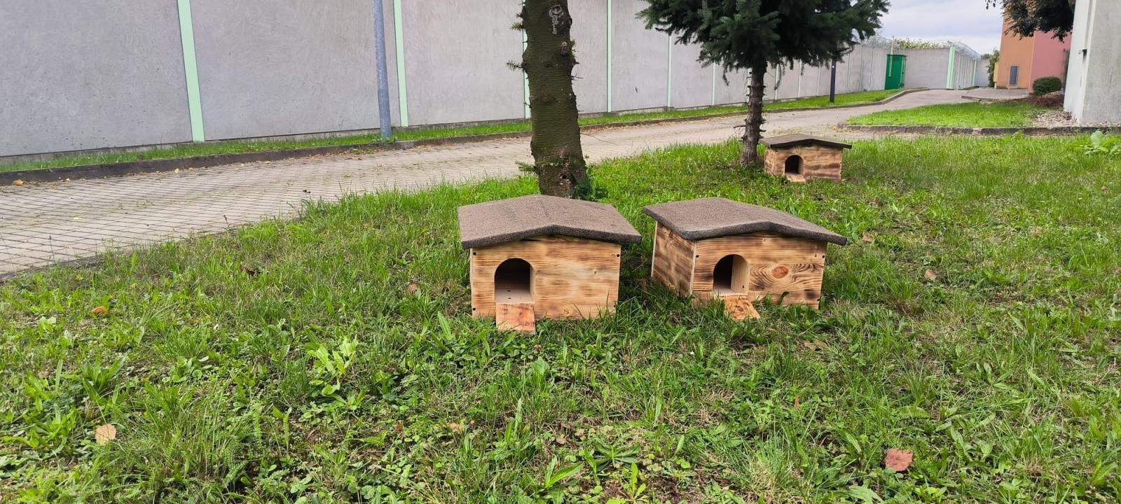 Zdjęcie w galerii na portalu naszraciborz.pl: Zadbaj o jeża, przygotuj go na zimę wiadomości z regionu