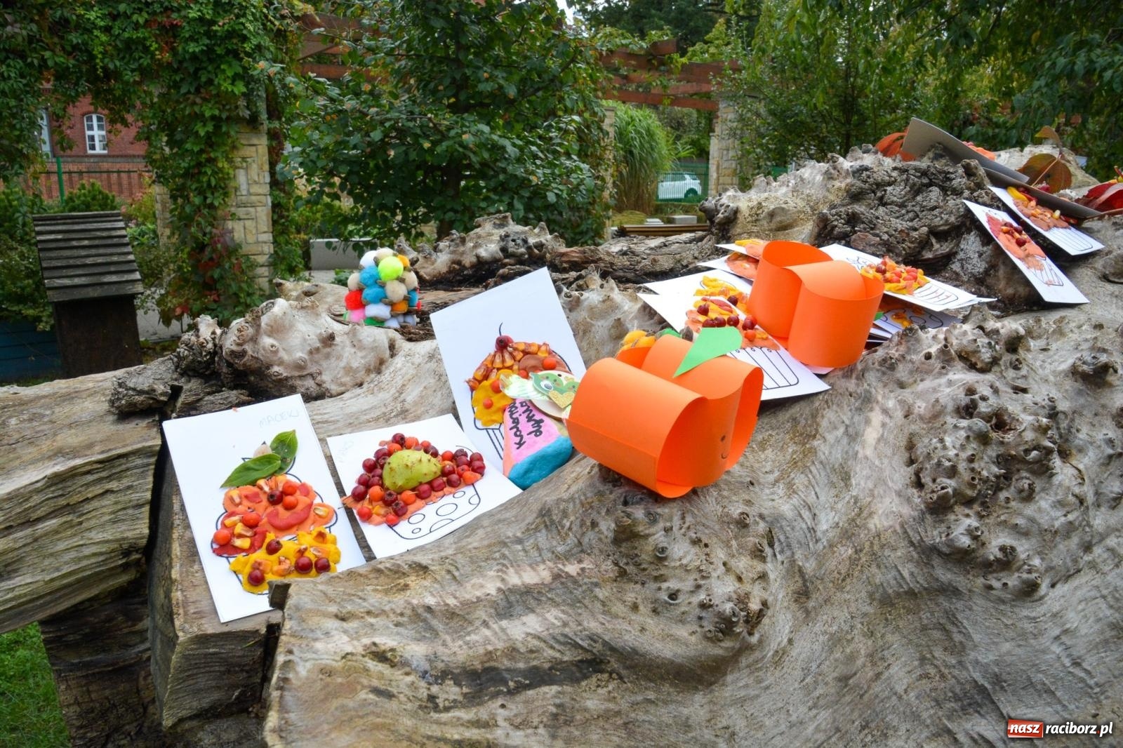 Zdjęcie w galerii na portalu naszraciborz.pl: W parku Jordanowskim trwa raciborskie święto dyni wiadomości z regionu