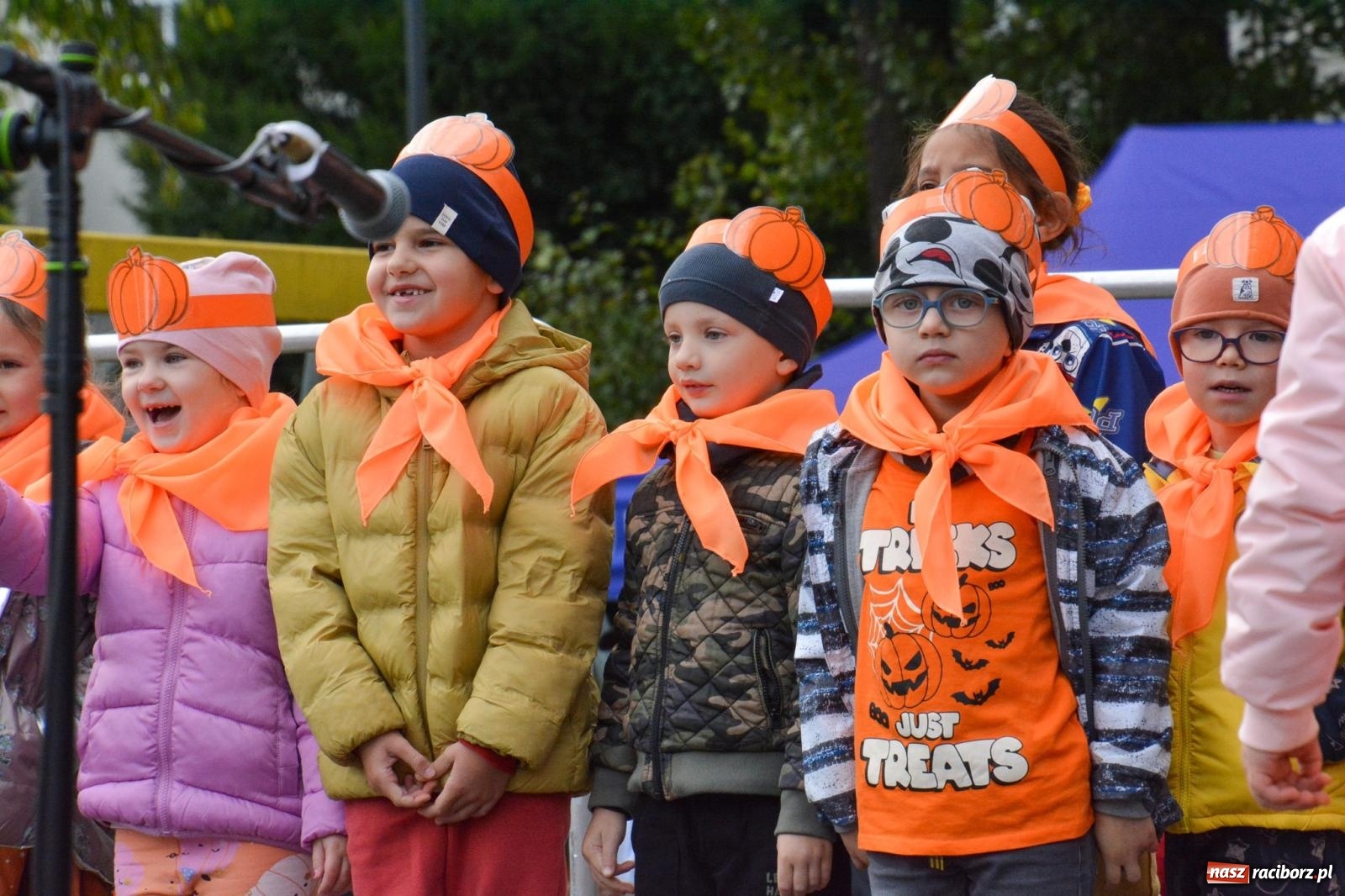 Zdjęcie w galerii na portalu naszraciborz.pl: W parku Jordanowskim trwa raciborskie święto dyni wiadomości z regionu