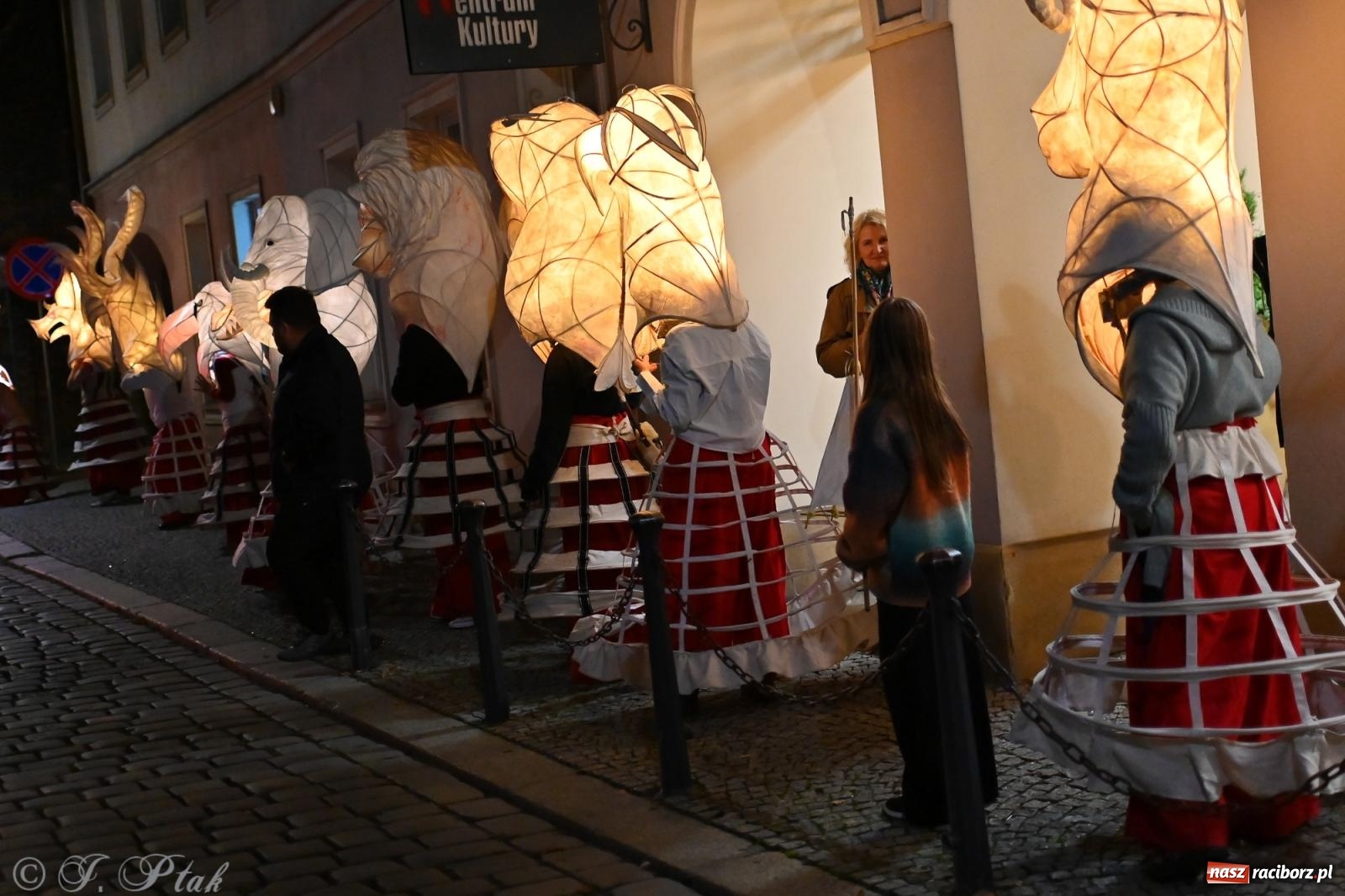 Zdjęcie w galerii na portalu naszraciborz.pl: Parada lampionów rozświetliła Racibórz [FOTO i WIDEO] wiadomości z regionu