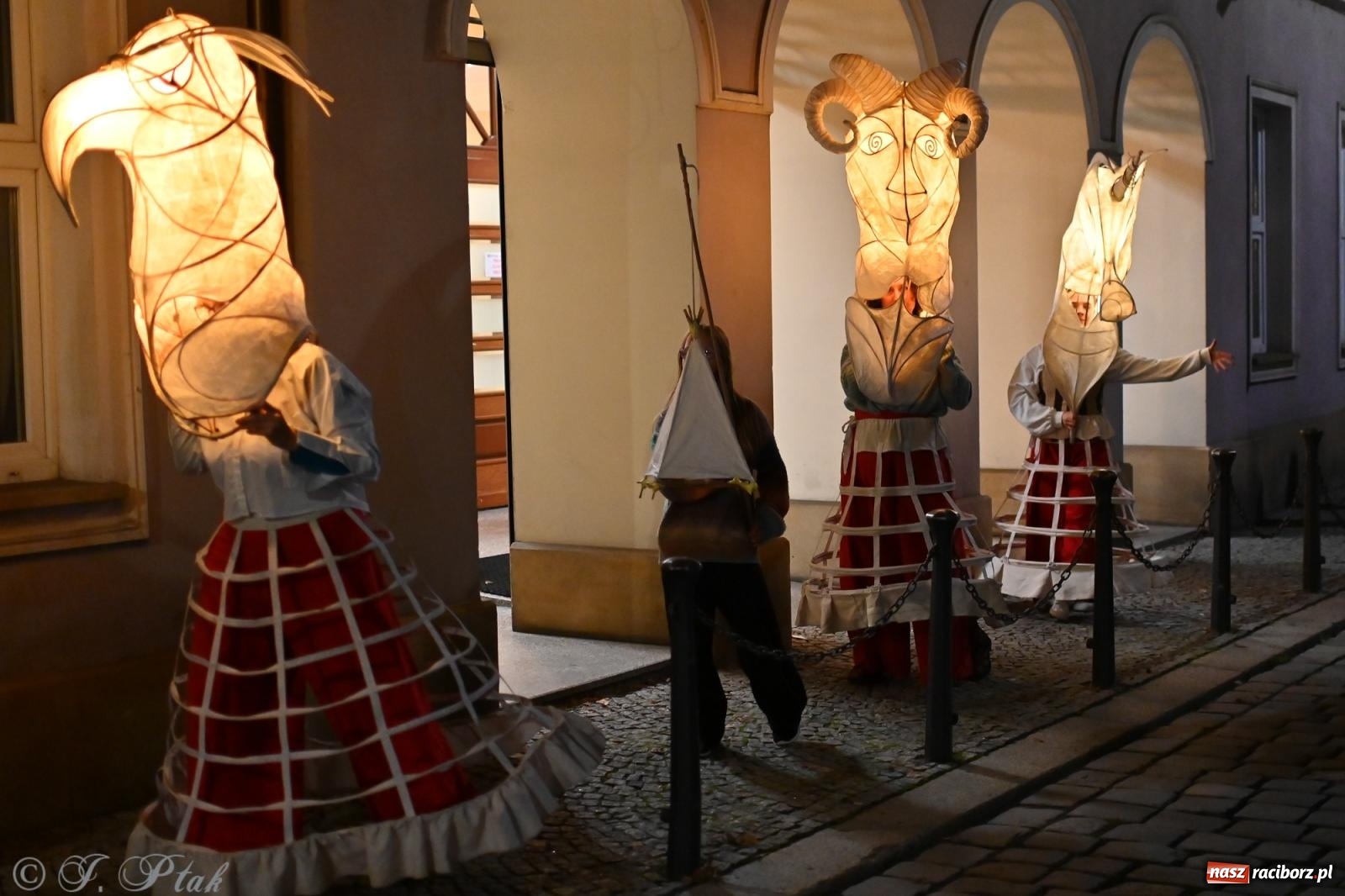 Zdjęcie w galerii na portalu naszraciborz.pl: Parada lampionów rozświetliła Racibórz [FOTO i WIDEO] wiadomości z regionu