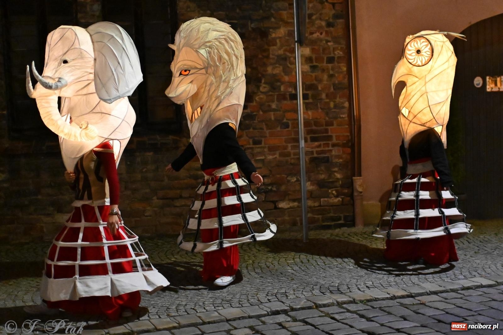 Zdjęcie w galerii na portalu naszraciborz.pl: Parada lampionów rozświetliła Racibórz [FOTO i WIDEO] wiadomości z regionu