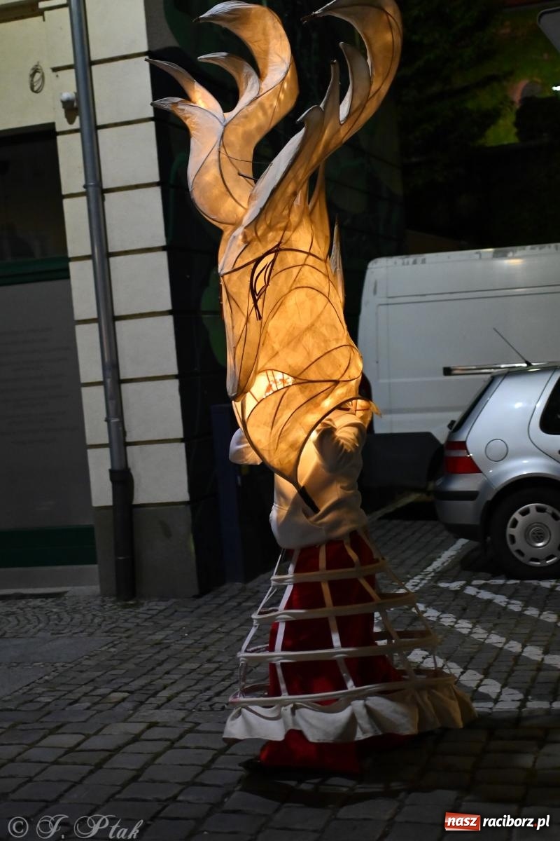 Zdjęcie w galerii na portalu naszraciborz.pl: Parada lampionów rozświetliła Racibórz [FOTO i WIDEO] wiadomości z regionu