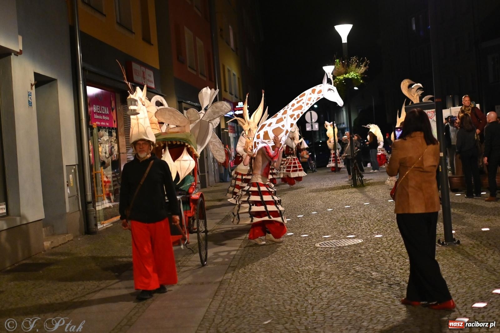 Zdjęcie w galerii na portalu naszraciborz.pl: Parada lampionów rozświetliła Racibórz [FOTO i WIDEO] wiadomości z regionu