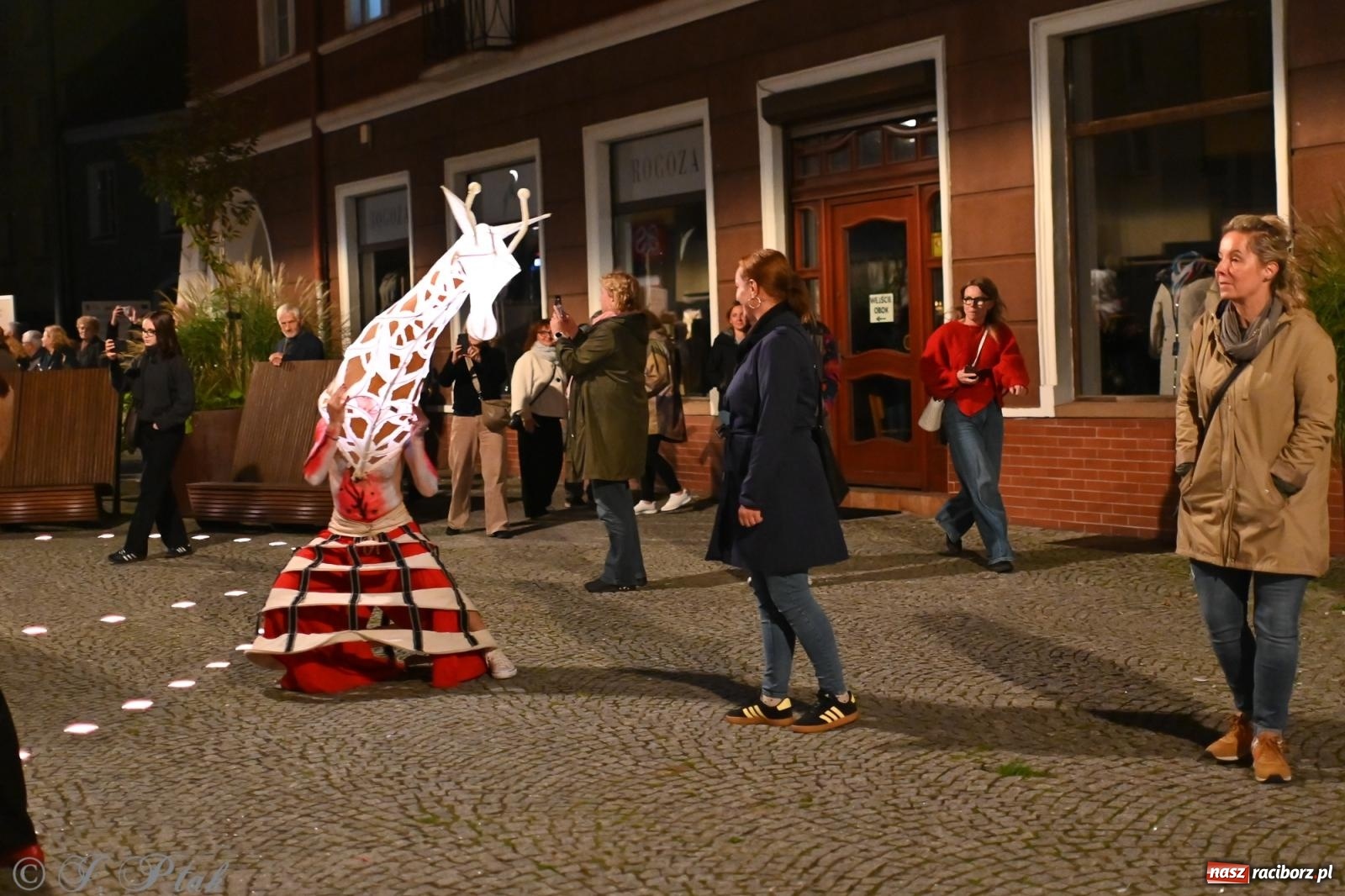 Zdjęcie w galerii na portalu naszraciborz.pl: Parada lampionów rozświetliła Racibórz [FOTO i WIDEO] wiadomości z regionu