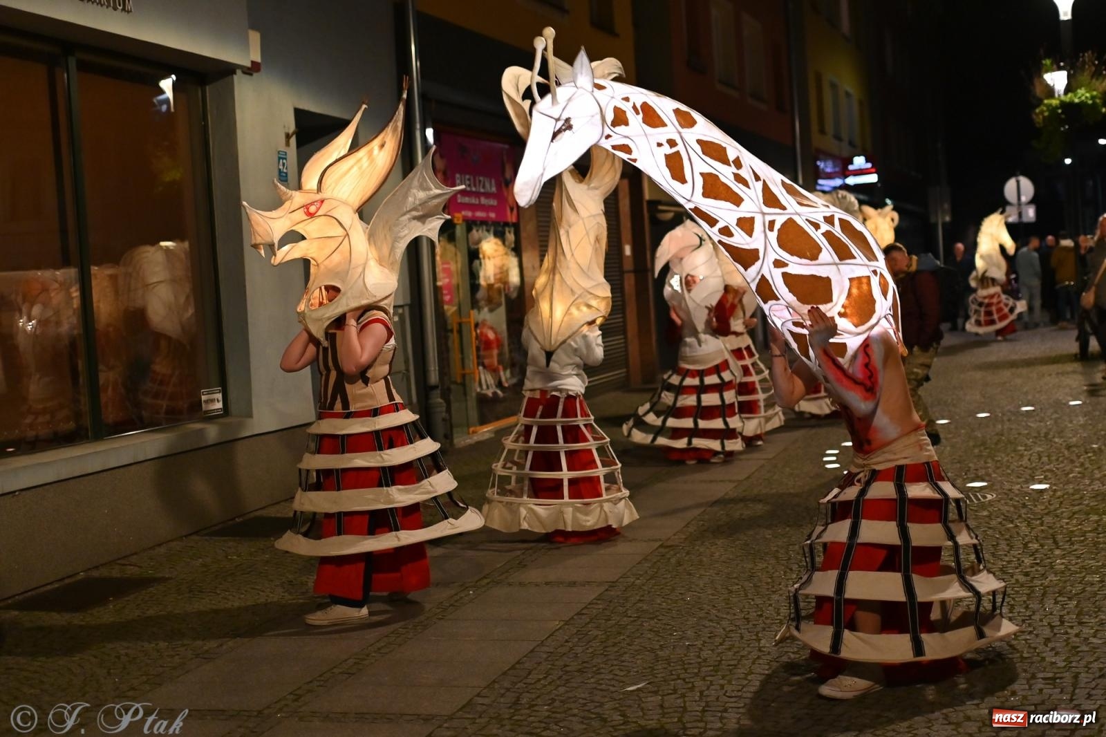 Zdjęcie w galerii na portalu naszraciborz.pl: Parada lampionów rozświetliła Racibórz [FOTO i WIDEO] wiadomości z regionu