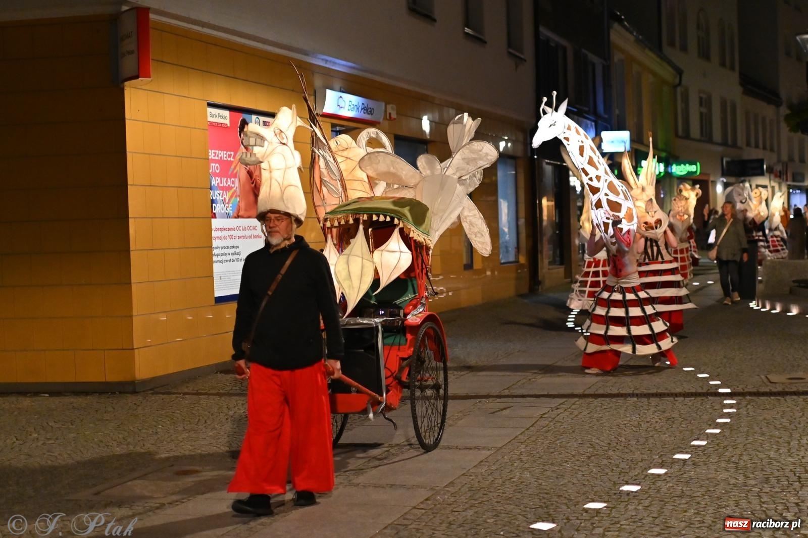 Zdjęcie w galerii na portalu naszraciborz.pl: Parada lampionów rozświetliła Racibórz [FOTO i WIDEO] wiadomości z regionu