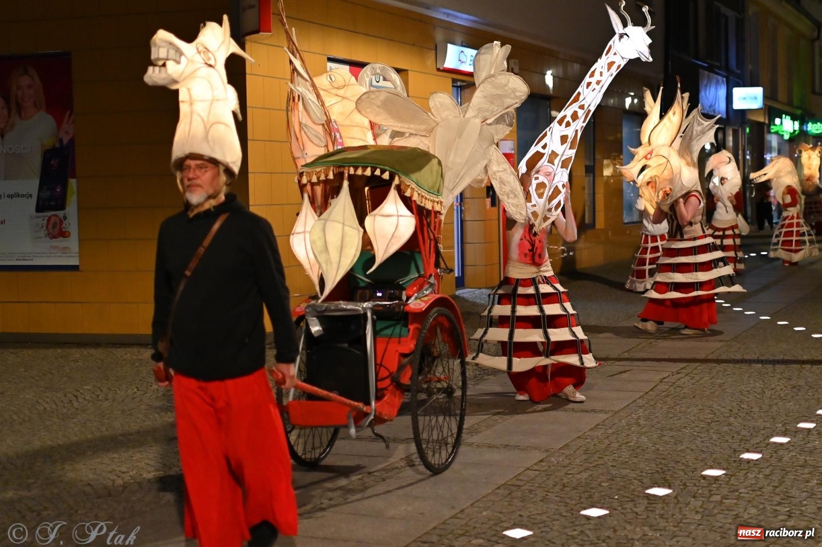 Zdjęcie w galerii na portalu naszraciborz.pl: Parada lampionów rozświetliła Racibórz [FOTO i WIDEO] wiadomości z regionu