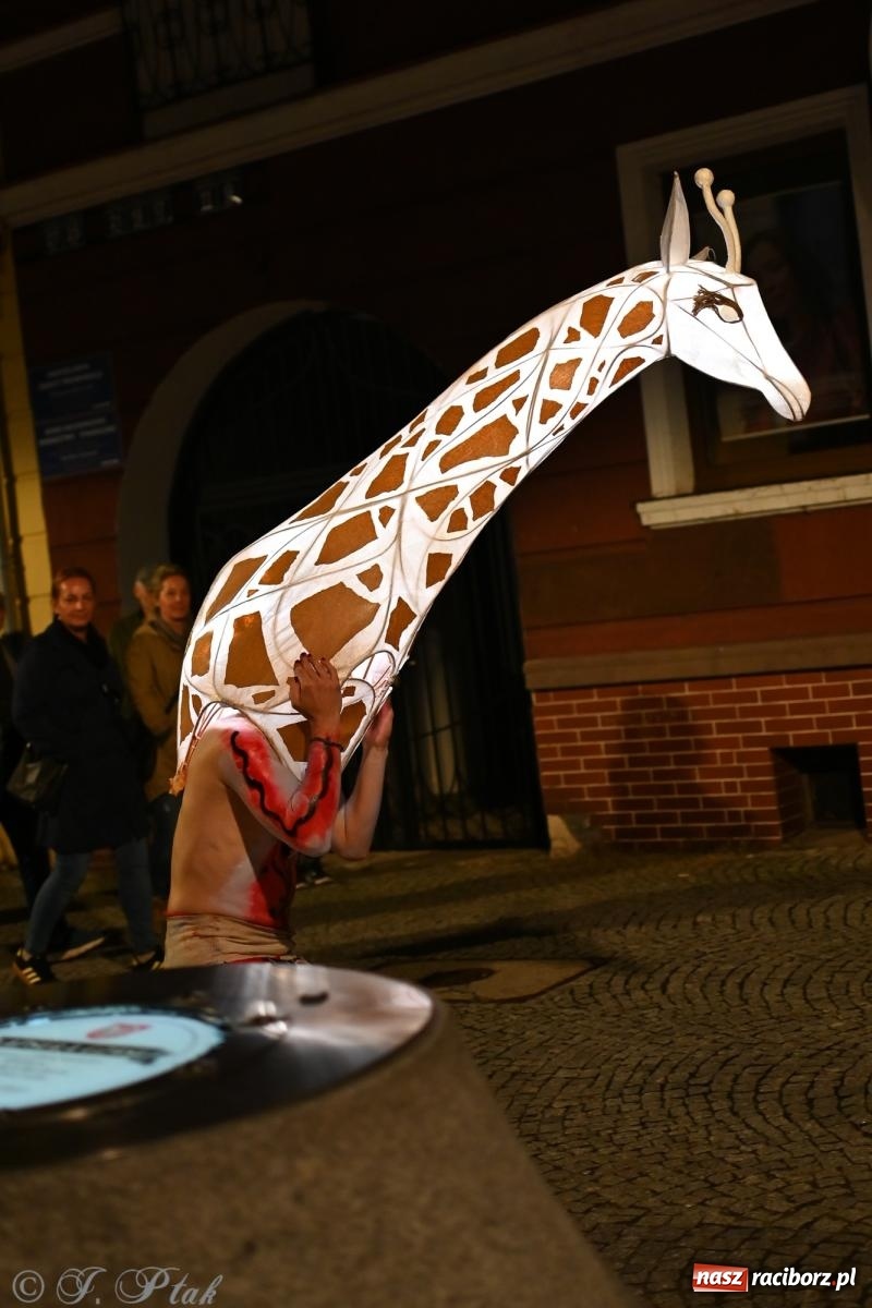 Zdjęcie w galerii na portalu naszraciborz.pl: Parada lampionów rozświetliła Racibórz [FOTO i WIDEO] wiadomości z regionu