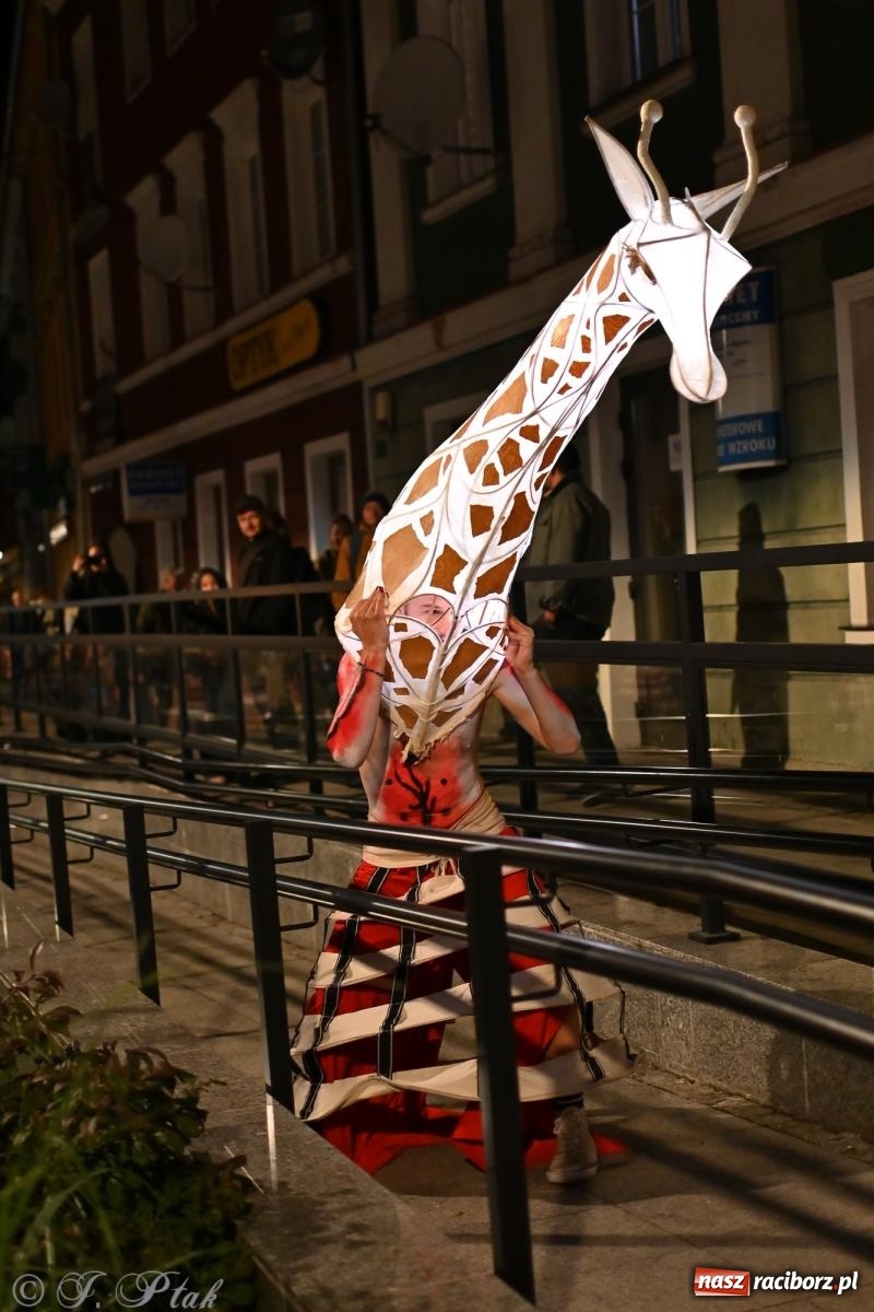 Zdjęcie w galerii na portalu naszraciborz.pl: Parada lampionów rozświetliła Racibórz [FOTO i WIDEO] wiadomości z regionu