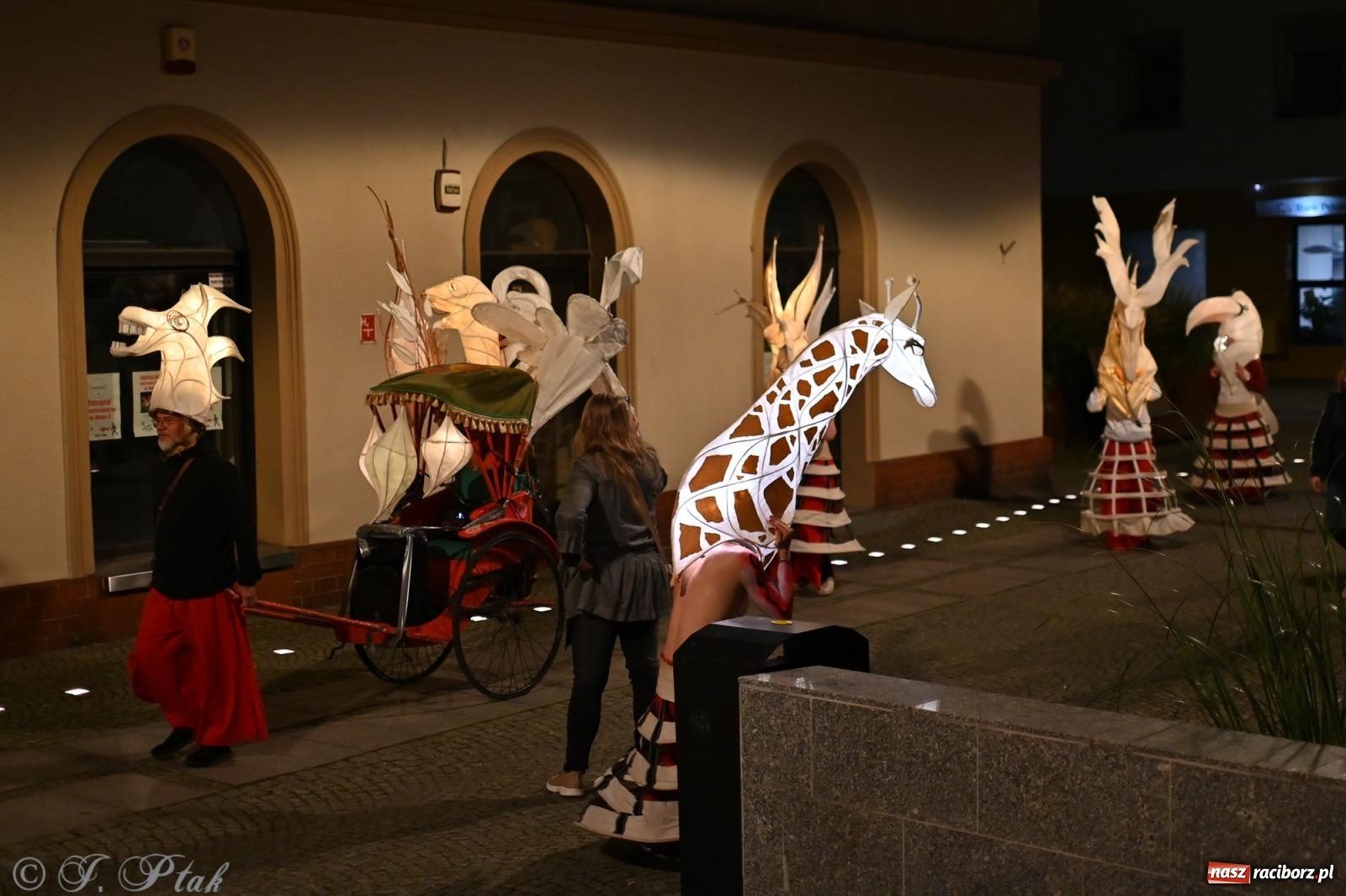 Zdjęcie w galerii na portalu naszraciborz.pl: Parada lampionów rozświetliła Racibórz [FOTO i WIDEO] wiadomości z regionu