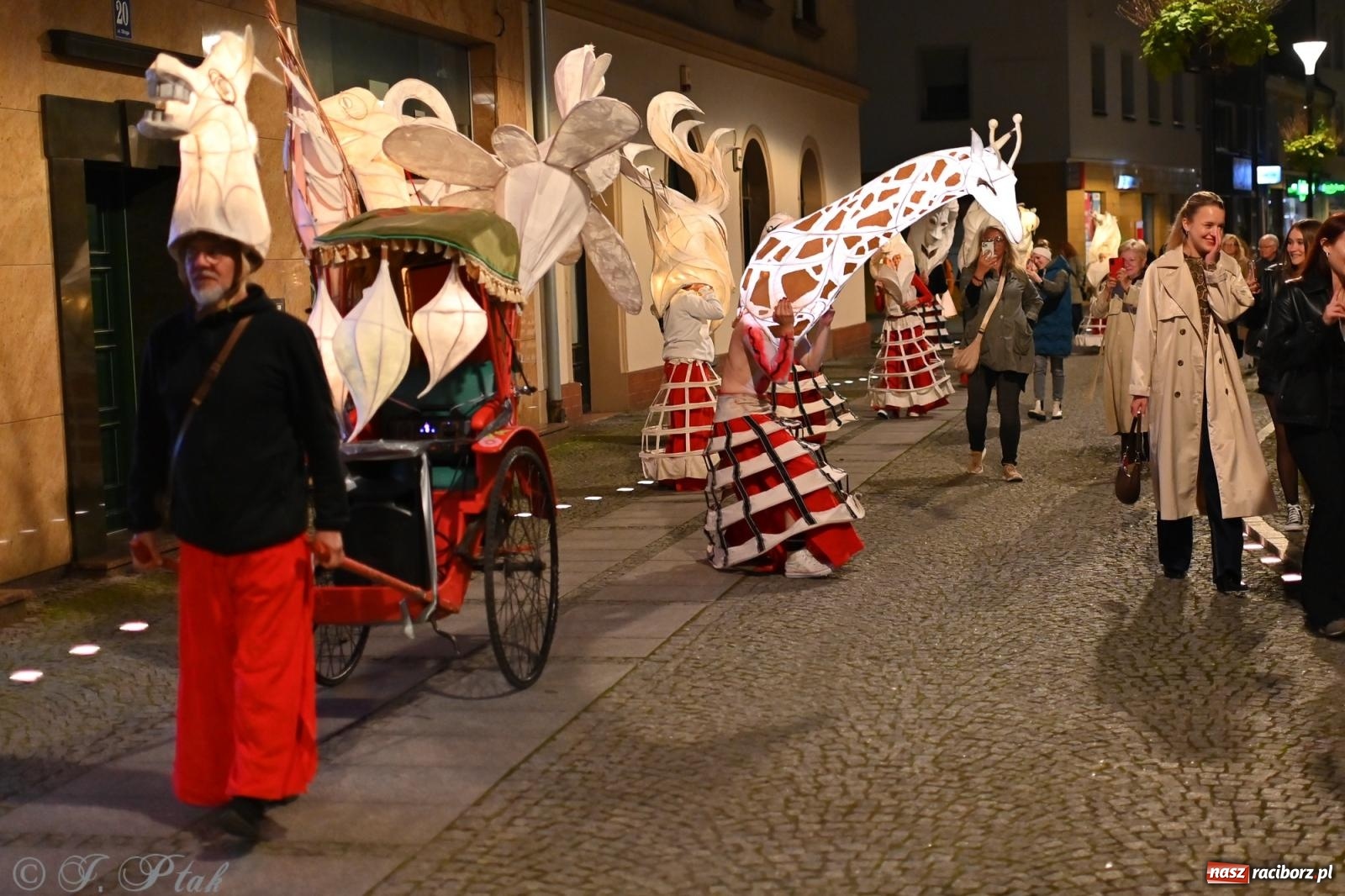 Zdjęcie w galerii na portalu naszraciborz.pl: Parada lampionów rozświetliła Racibórz [FOTO i WIDEO] wiadomości z regionu