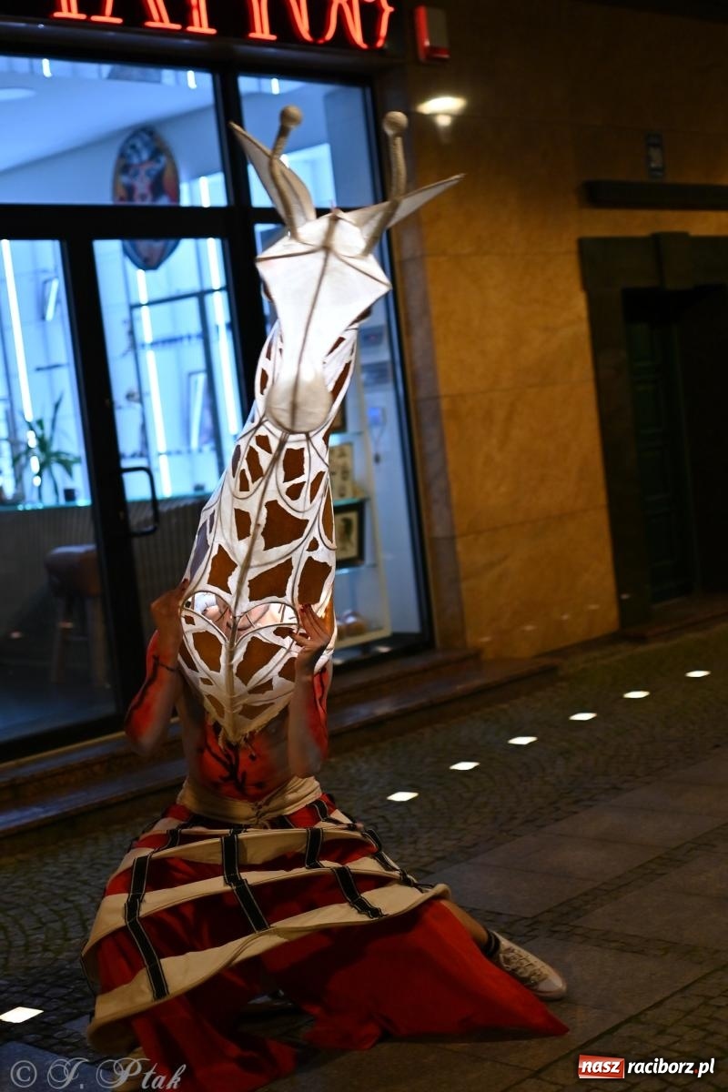 Zdjęcie w galerii na portalu naszraciborz.pl: Parada lampionów rozświetliła Racibórz [FOTO i WIDEO] wiadomości z regionu