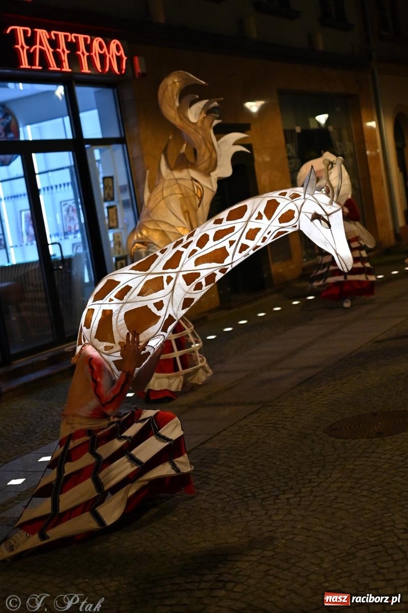 Zdjęcie w galerii na portalu naszraciborz.pl: Parada lampionów rozświetliła Racibórz [FOTO i WIDEO] wiadomości z regionu