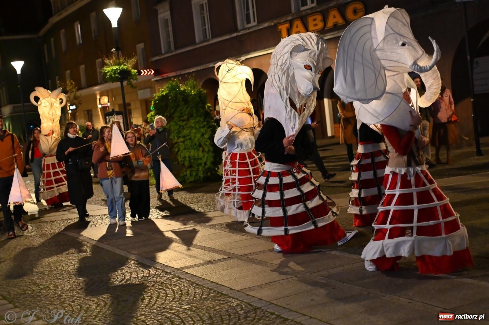 Zdjęcie w galerii na portalu naszraciborz.pl: Parada lampionów rozświetliła Racibórz [FOTO i WIDEO] wiadomości z regionu