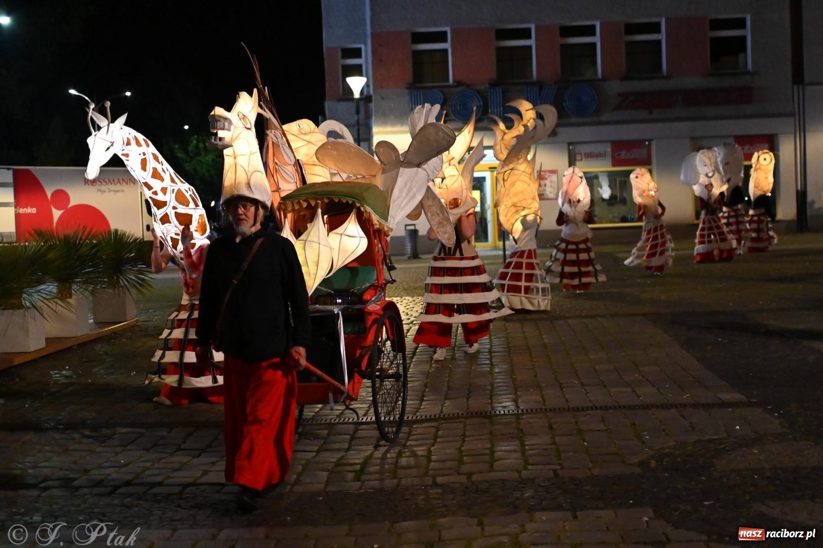 Zdjęcie w galerii na portalu naszraciborz.pl: Parada lampionów rozświetliła Racibórz [FOTO i WIDEO] wiadomości z regionu