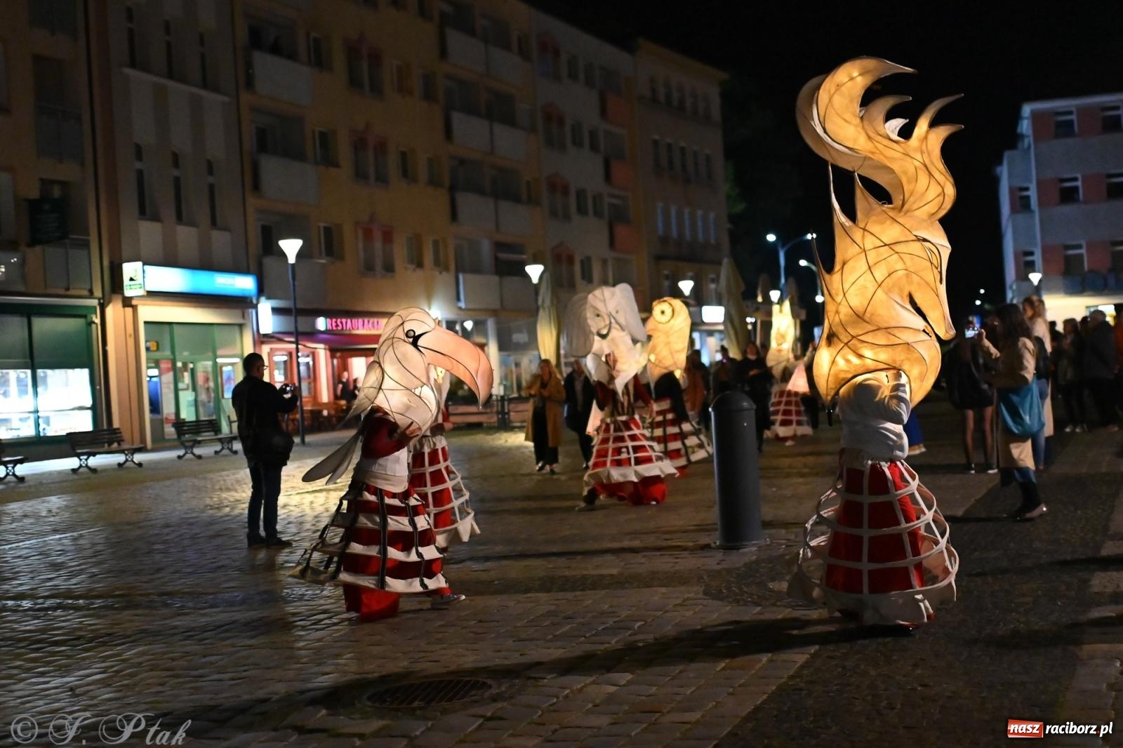 Zdjęcie w galerii na portalu naszraciborz.pl: Parada lampionów rozświetliła Racibórz [FOTO i WIDEO] wiadomości z regionu