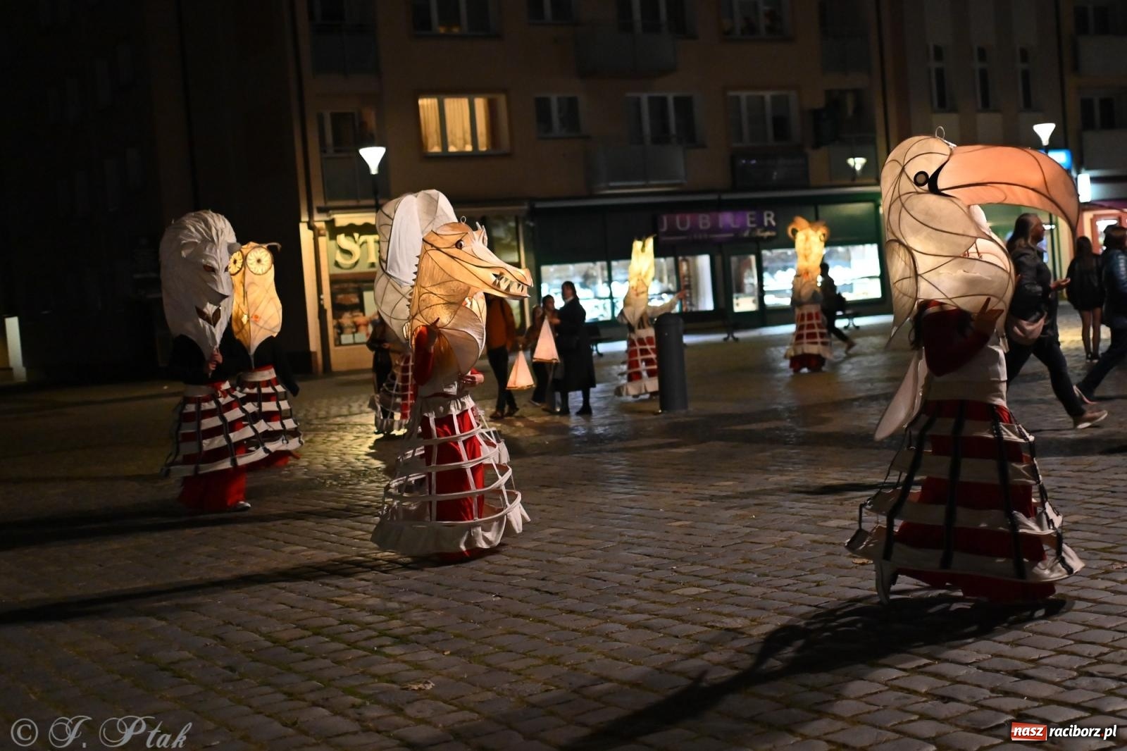 Zdjęcie w galerii na portalu naszraciborz.pl: Parada lampionów rozświetliła Racibórz [FOTO i WIDEO] wiadomości z regionu
