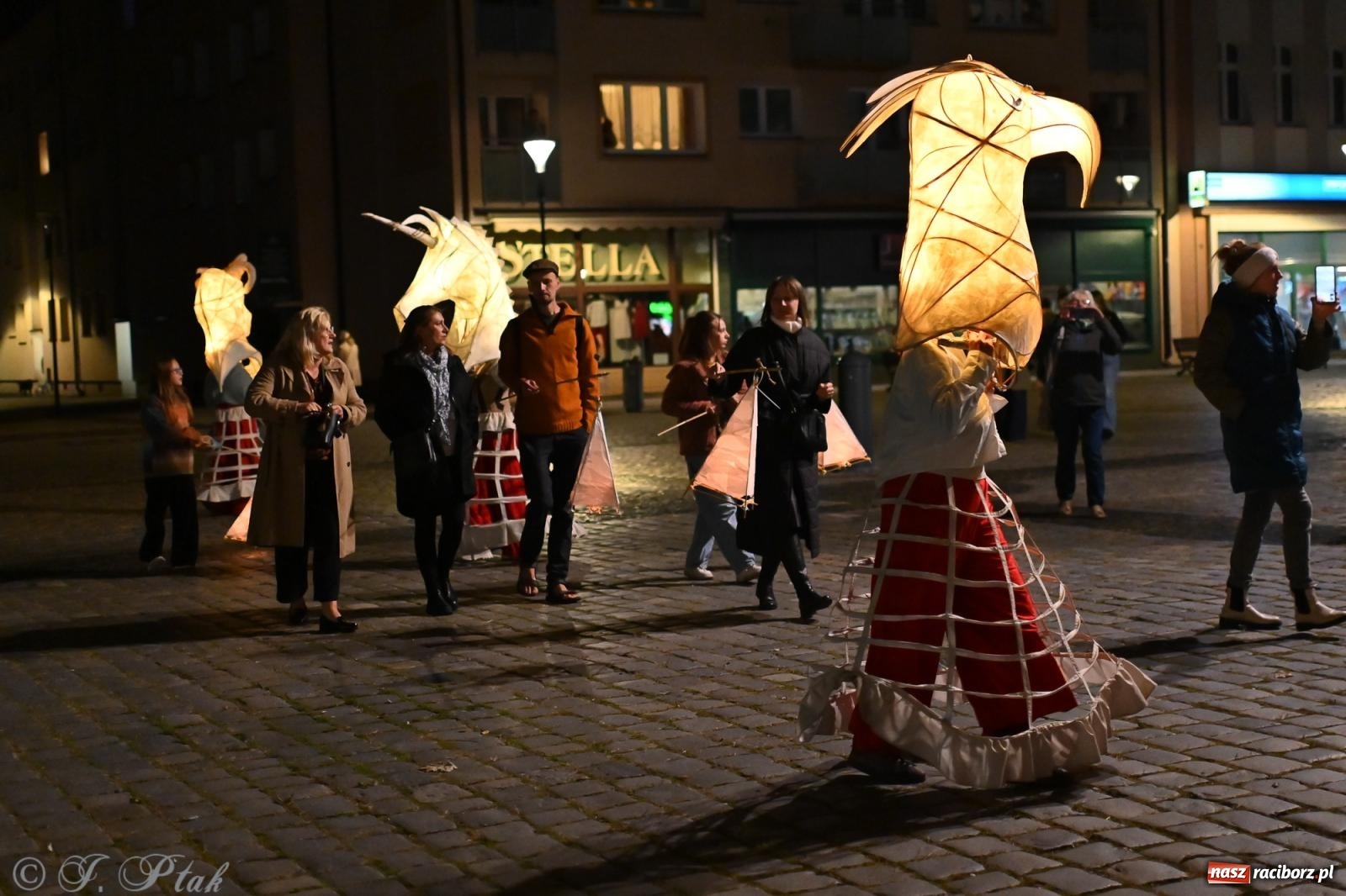 Zdjęcie w galerii na portalu naszraciborz.pl: Parada lampionów rozświetliła Racibórz [FOTO i WIDEO] wiadomości z regionu