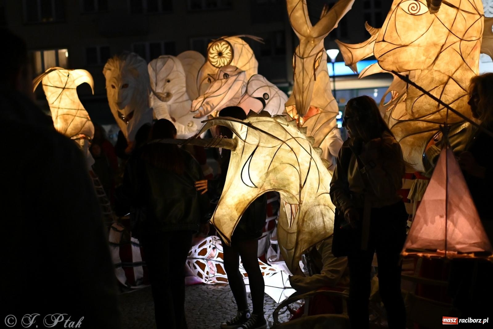 Zdjęcie w galerii na portalu naszraciborz.pl: Parada lampionów rozświetliła Racibórz [FOTO i WIDEO] wiadomości z regionu