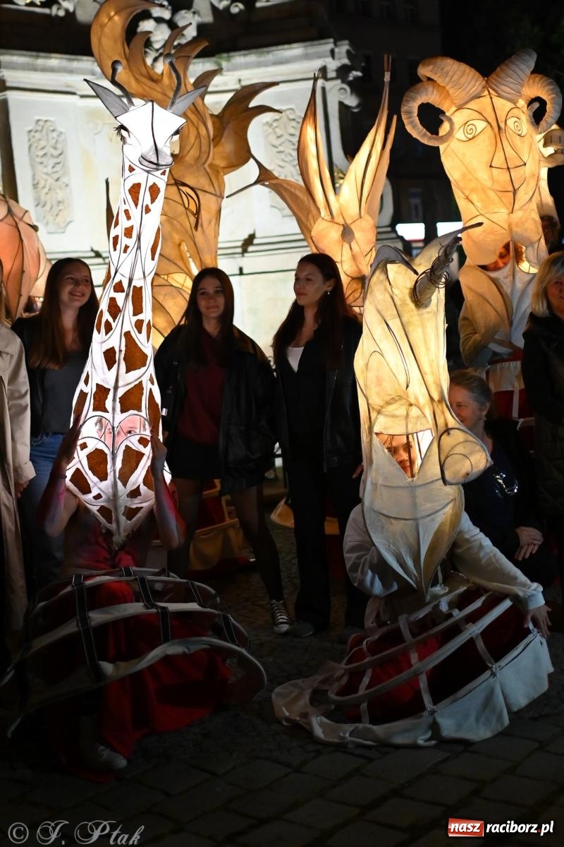 Zdjęcie w galerii na portalu naszraciborz.pl: Parada lampionów rozświetliła Racibórz [FOTO i WIDEO] wiadomości z regionu