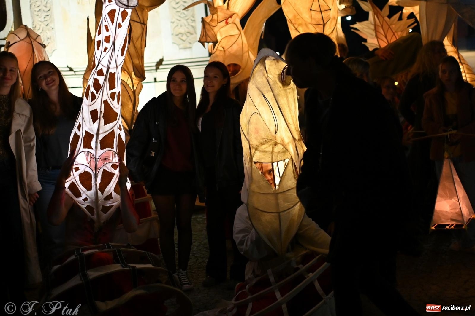 Zdjęcie w galerii na portalu naszraciborz.pl: Parada lampionów rozświetliła Racibórz [FOTO i WIDEO] wiadomości z regionu
