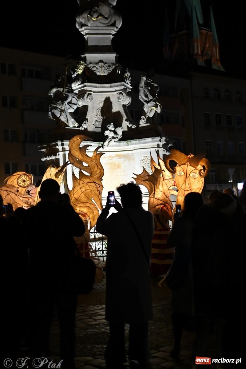Zdjęcie w galerii na portalu naszraciborz.pl: Parada lampionów rozświetliła Racibórz [FOTO i WIDEO] wiadomości z regionu