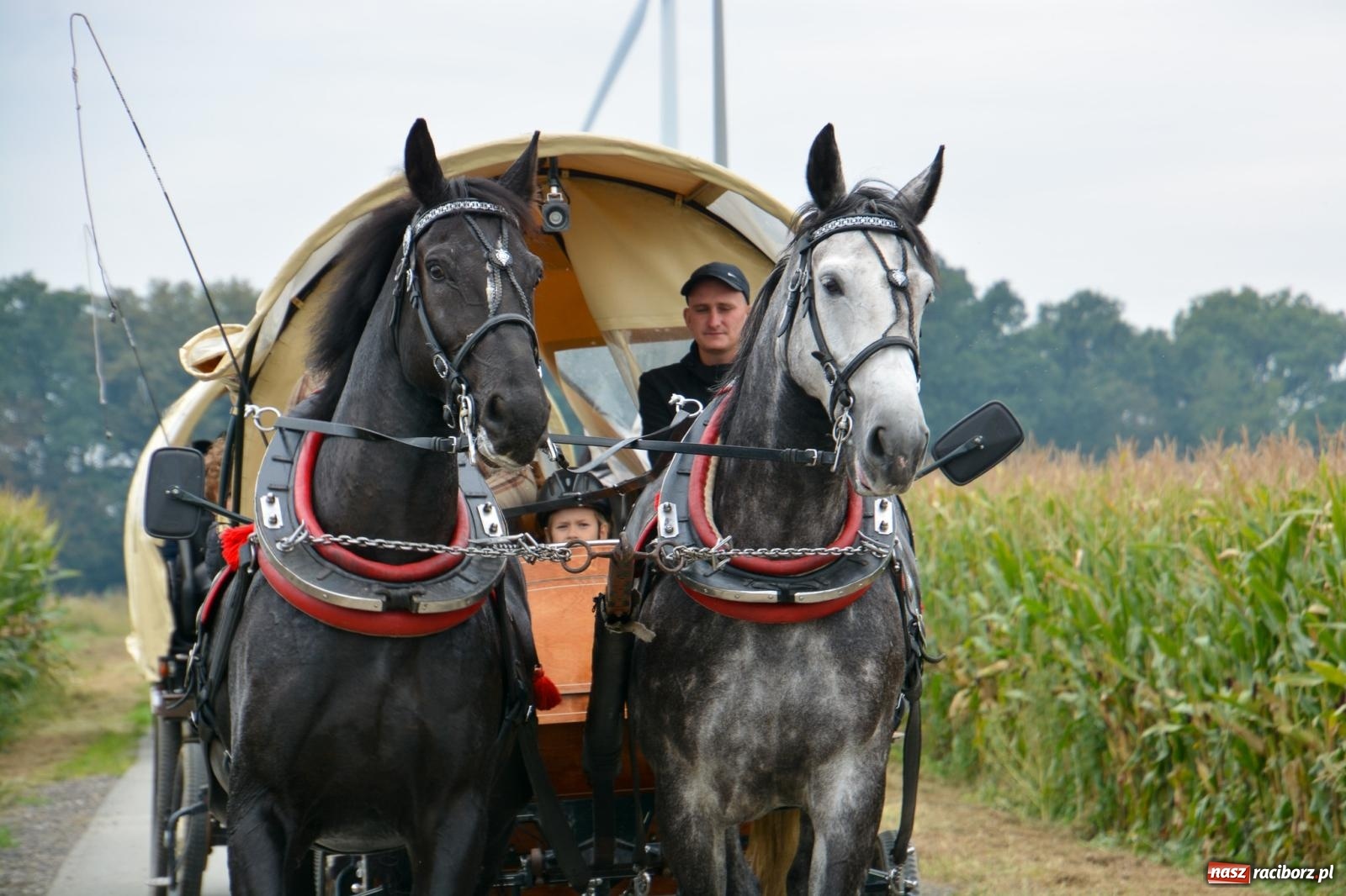 Zdjęcie w galerii na portalu naszraciborz.pl: Hubertus w Żerdzinach – emocje na końskim grzbiecie i nowe atrakcje dla miłośników jeździectwa wiadomości z regionu