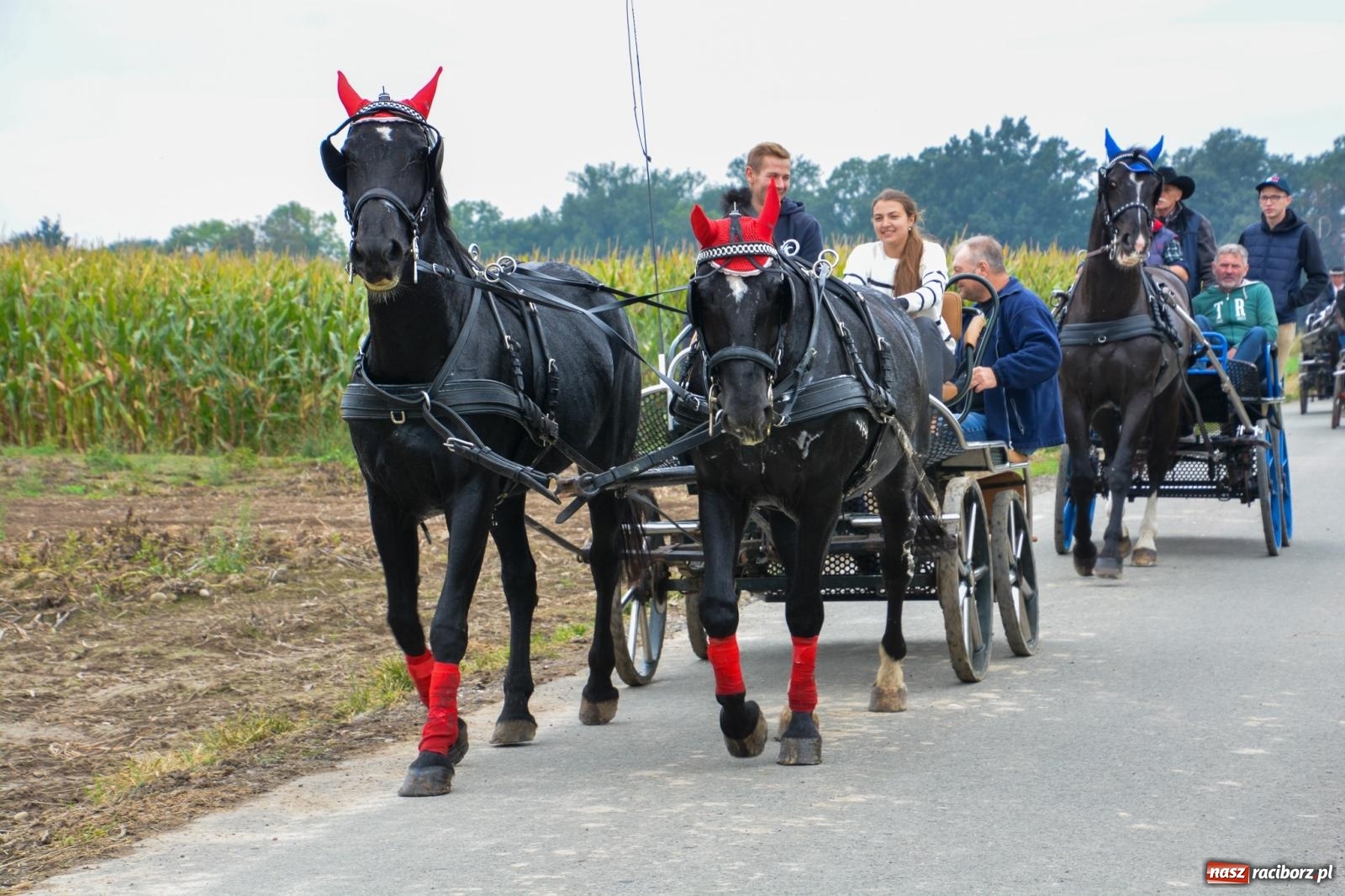 Zdjęcie w galerii na portalu naszraciborz.pl: Hubertus w Żerdzinach – emocje na końskim grzbiecie i nowe atrakcje dla miłośników jeździectwa wiadomości z regionu