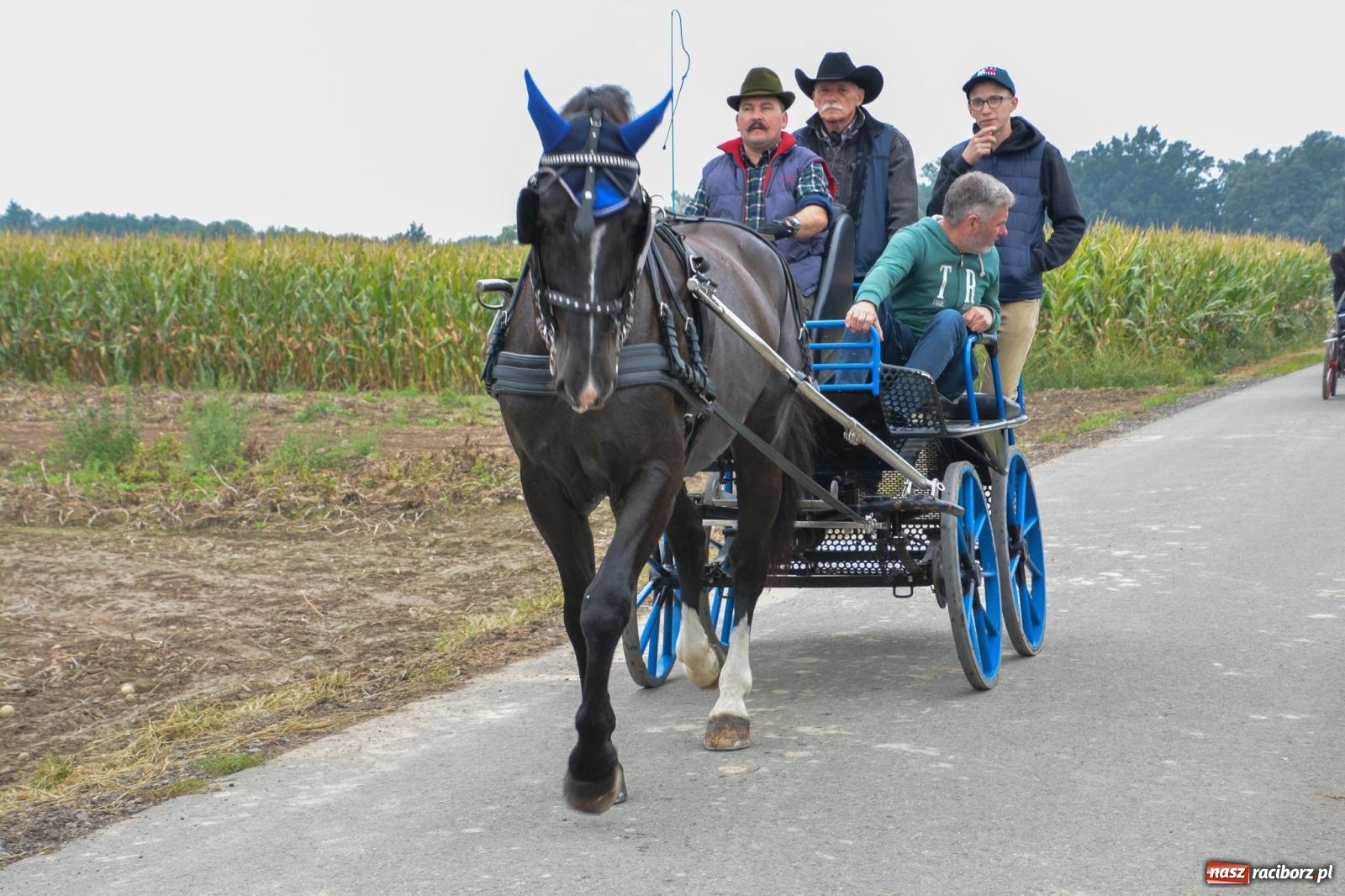 Zdjęcie w galerii na portalu naszraciborz.pl: Hubertus w Żerdzinach – emocje na końskim grzbiecie i nowe atrakcje dla miłośników jeździectwa wiadomości z regionu
