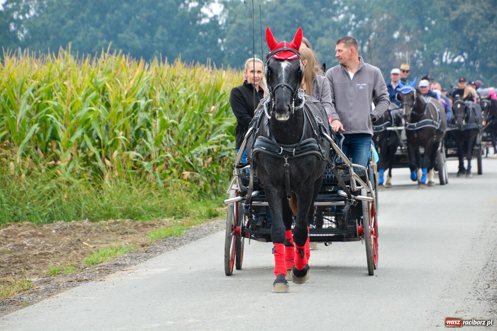 Zdjęcie w galerii na portalu naszraciborz.pl: Hubertus w Żerdzinach – emocje na końskim grzbiecie i nowe atrakcje dla miłośników jeździectwa wiadomości z regionu